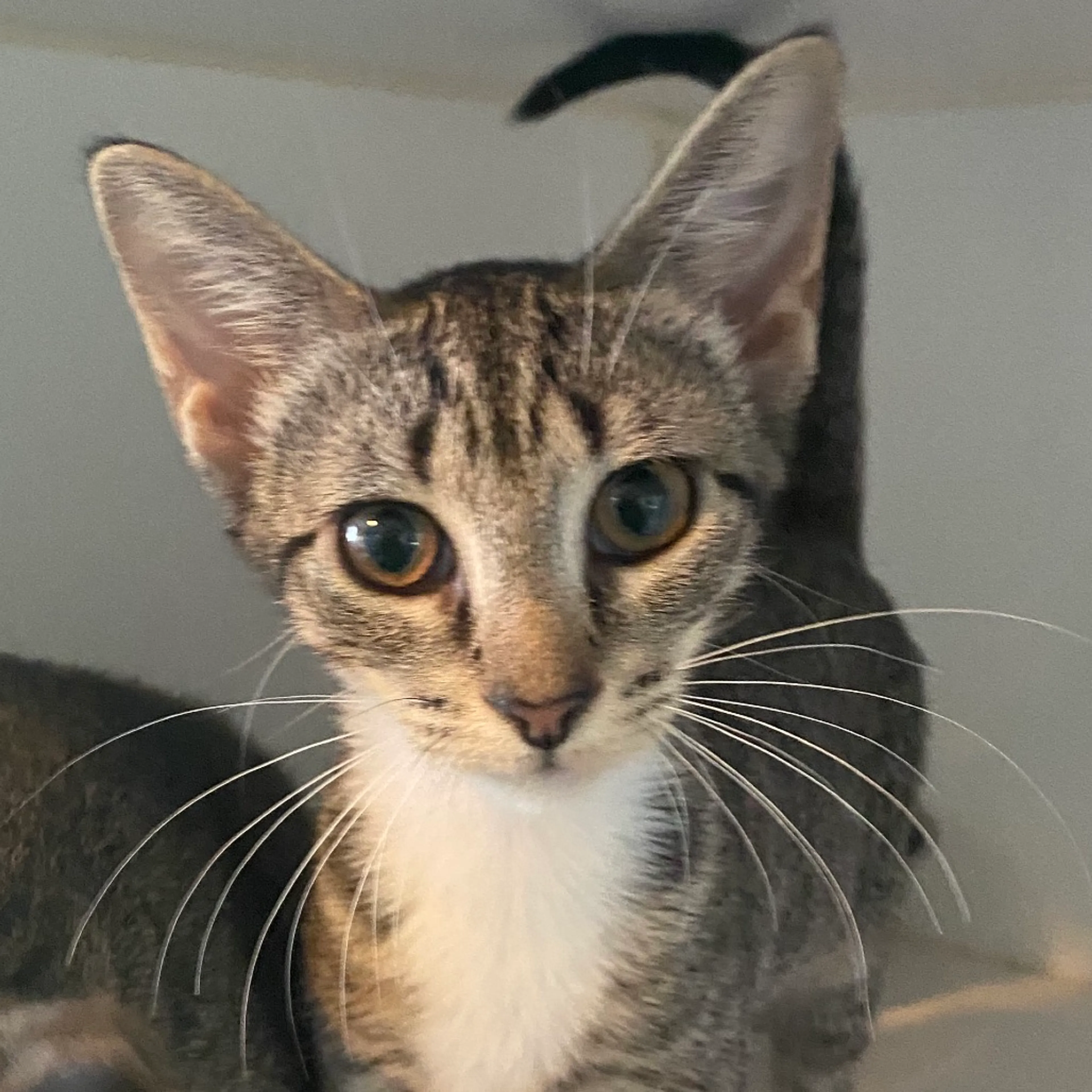 -0