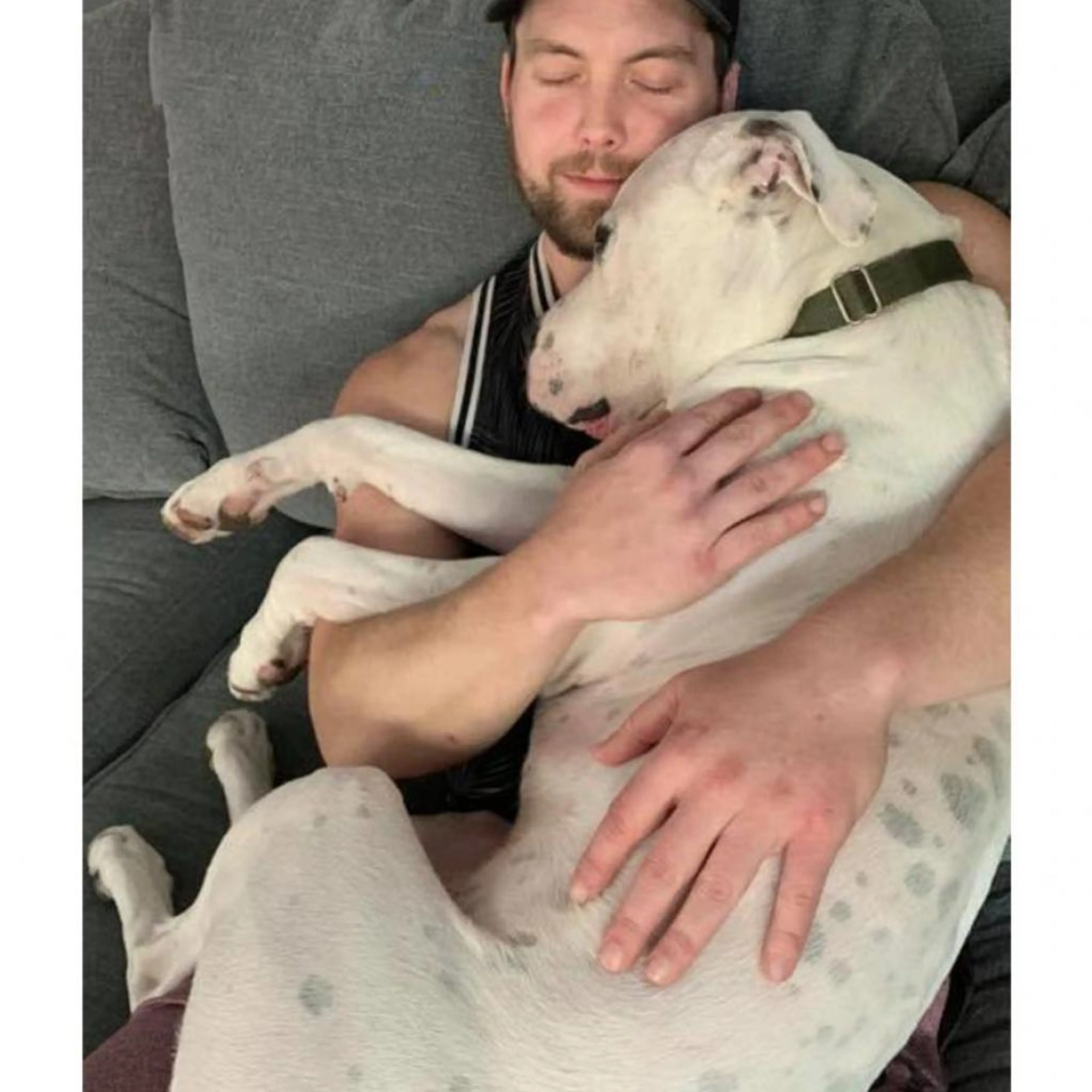 Found pet-9