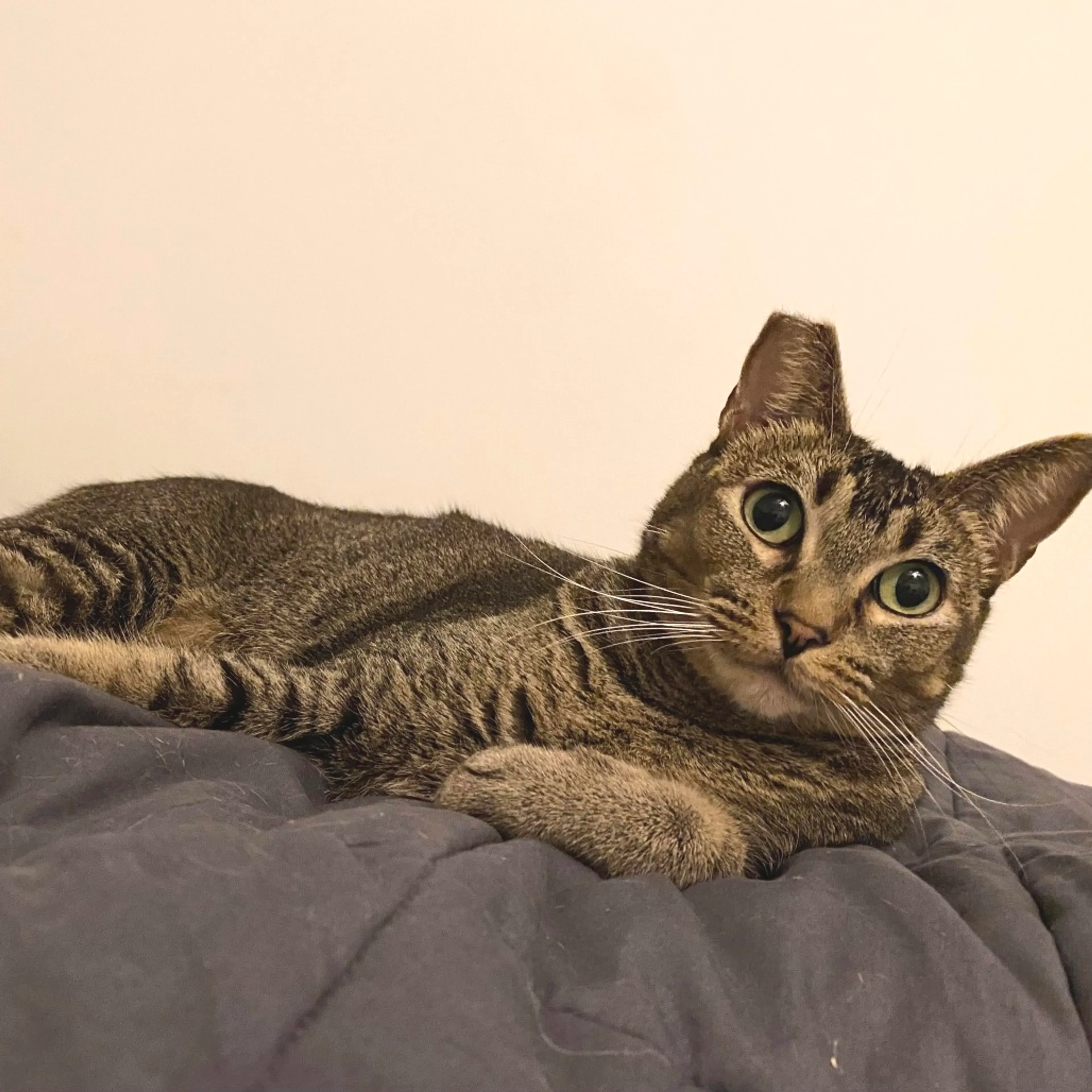 -3