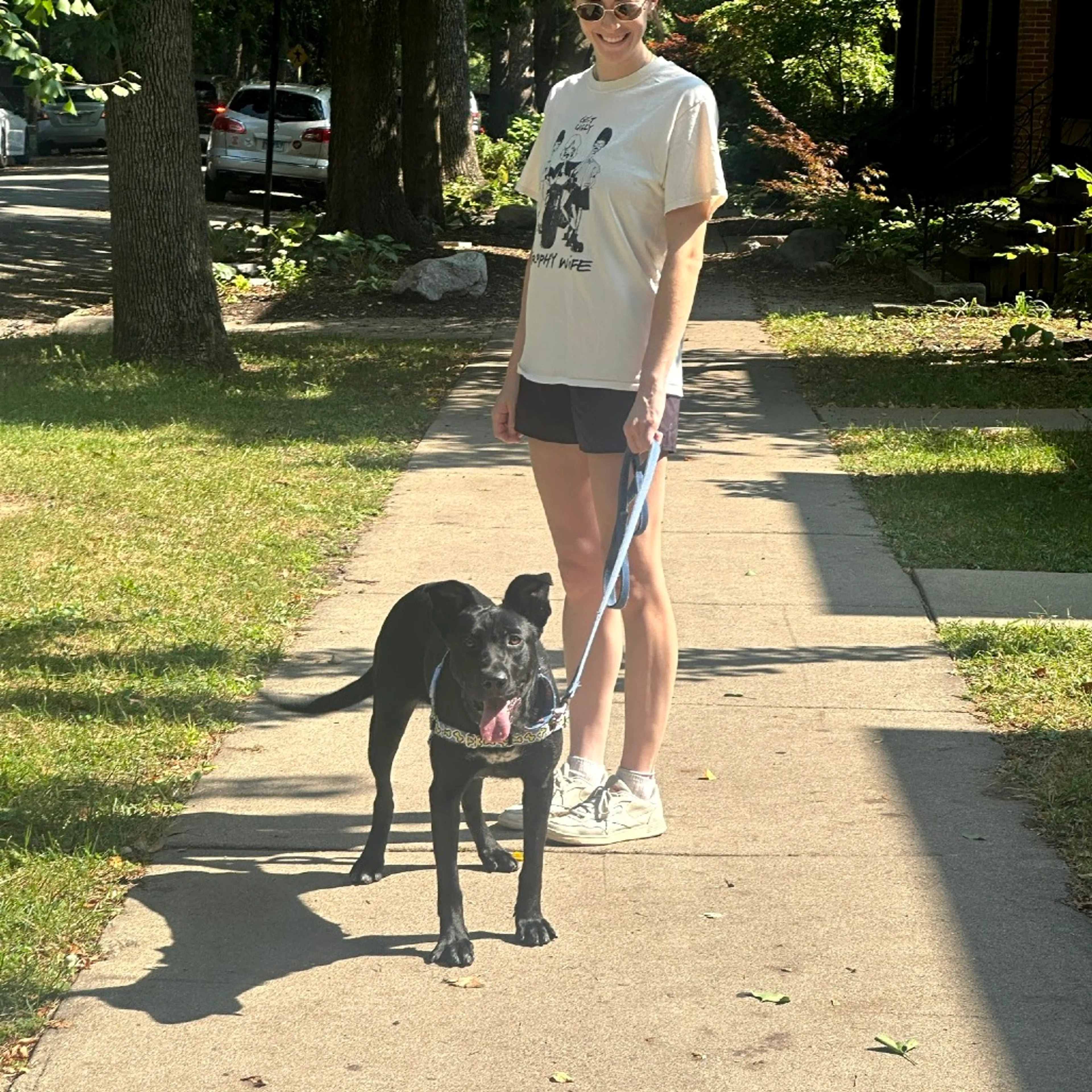 Found pet-8
