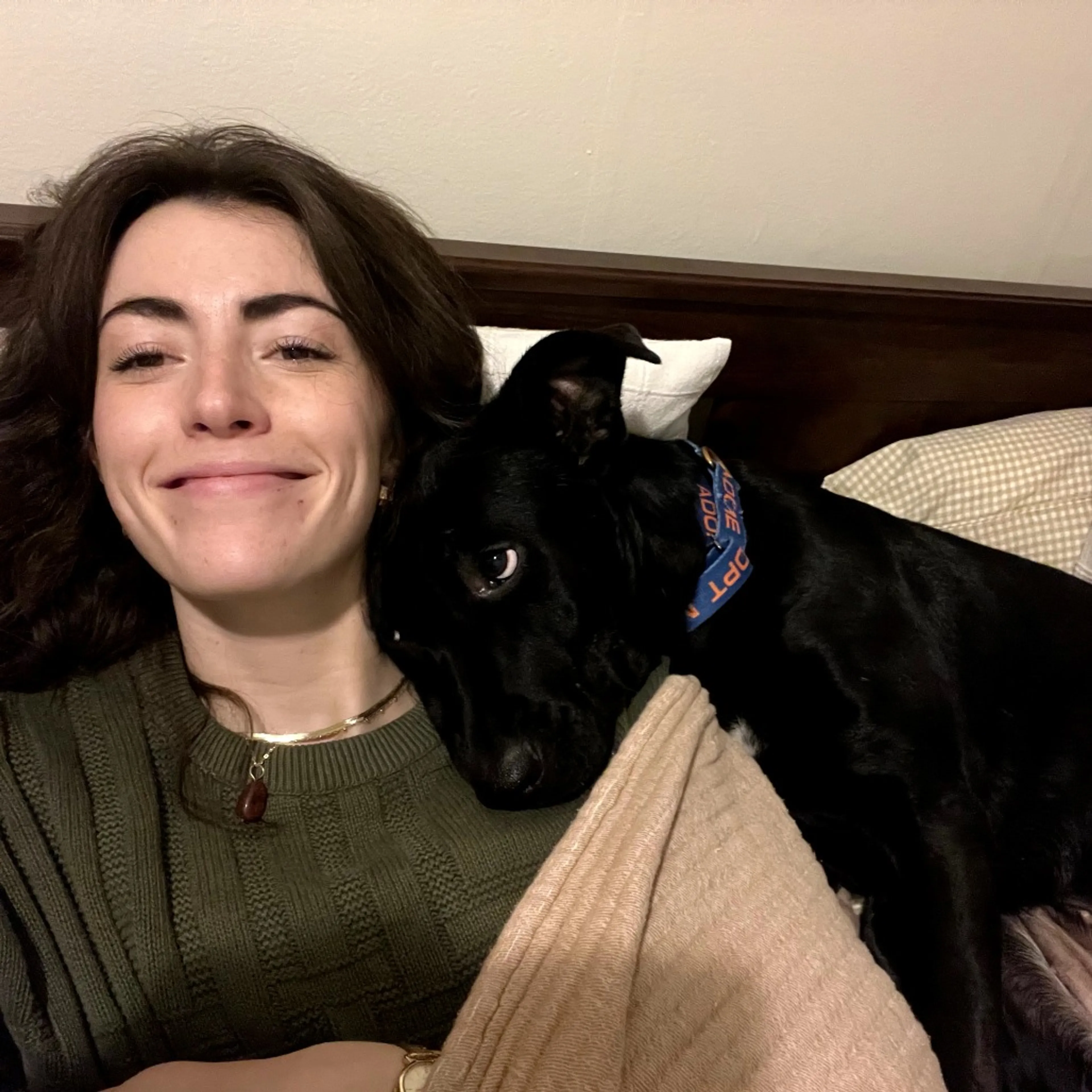 Found pet-13