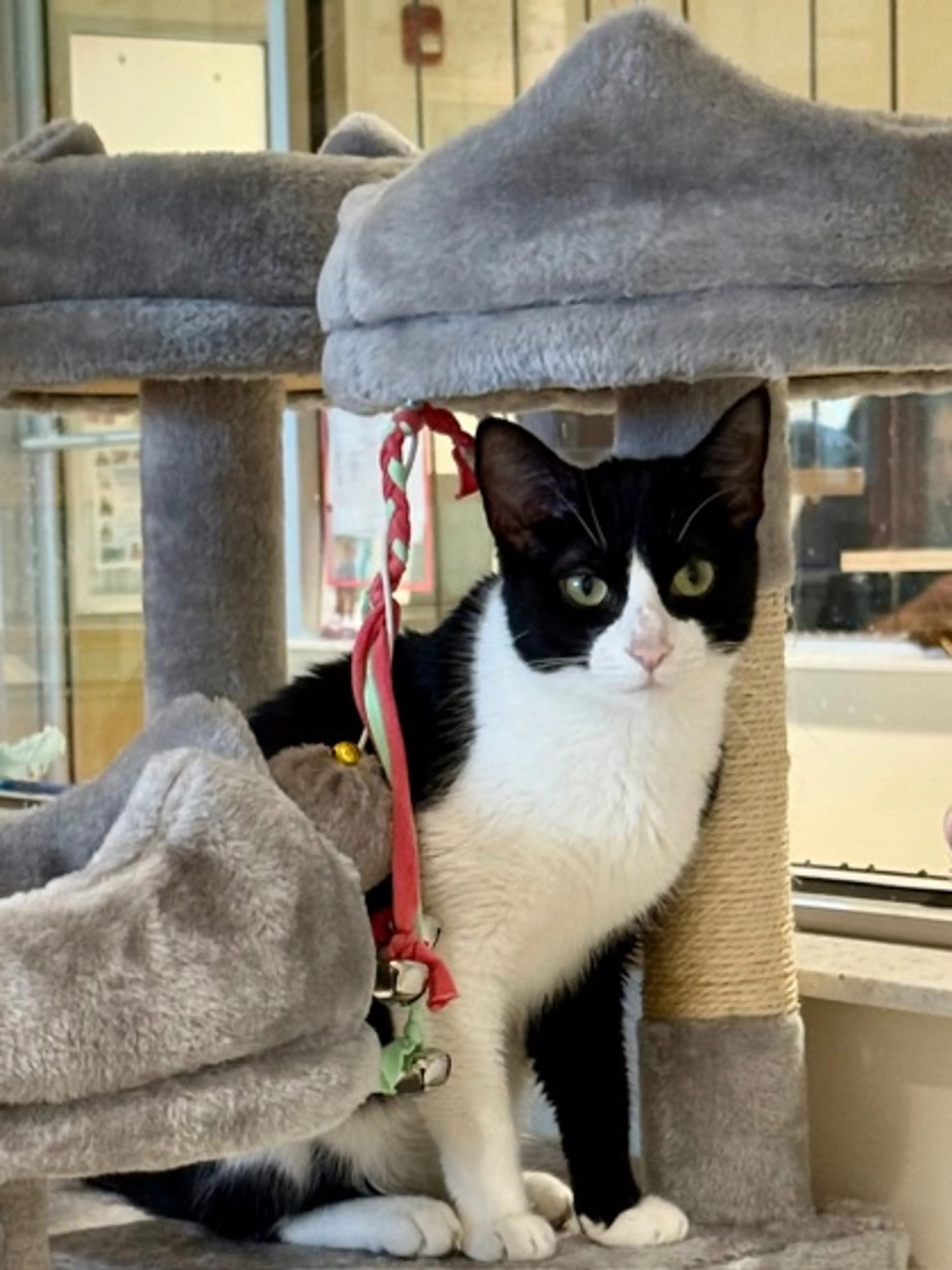 -1