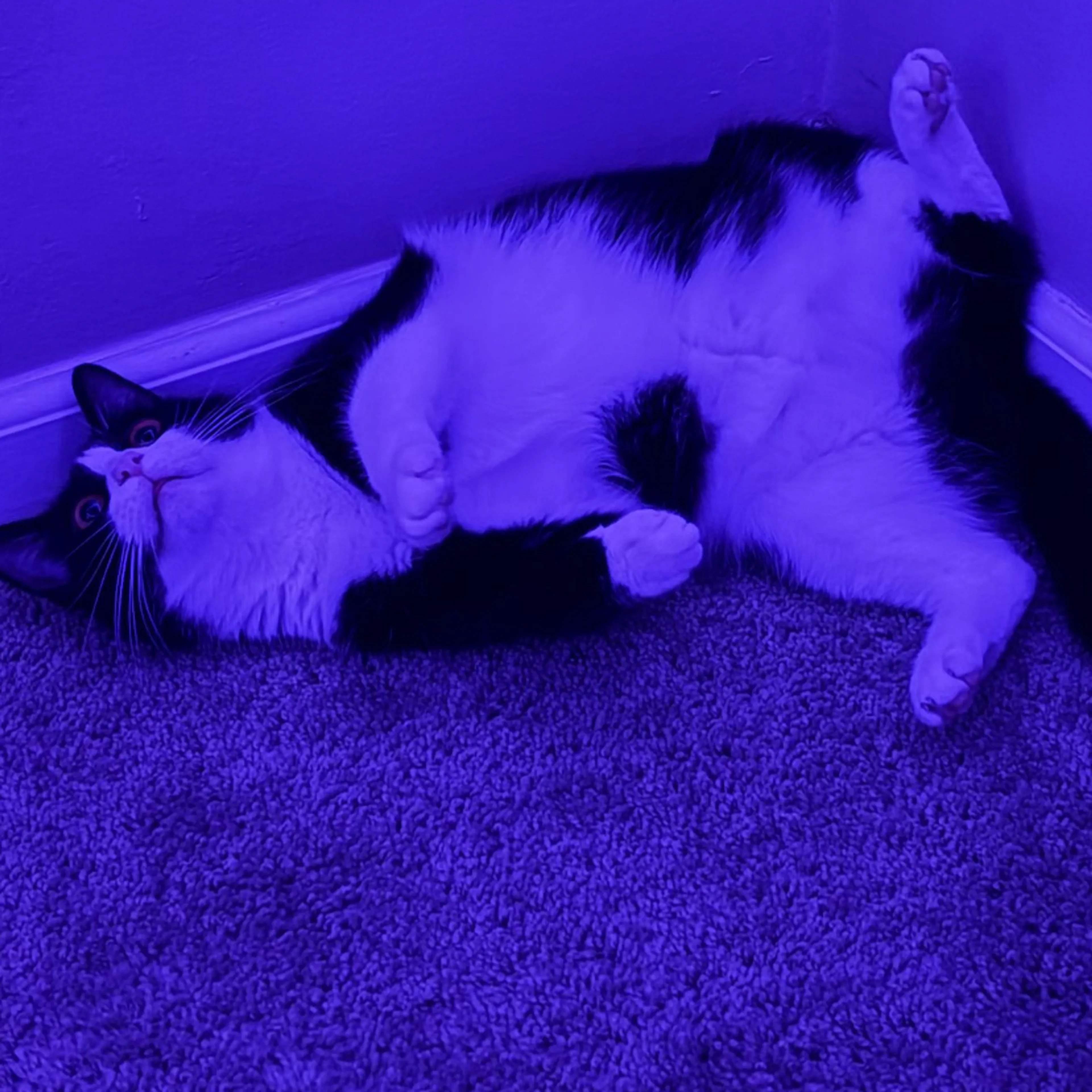 -3