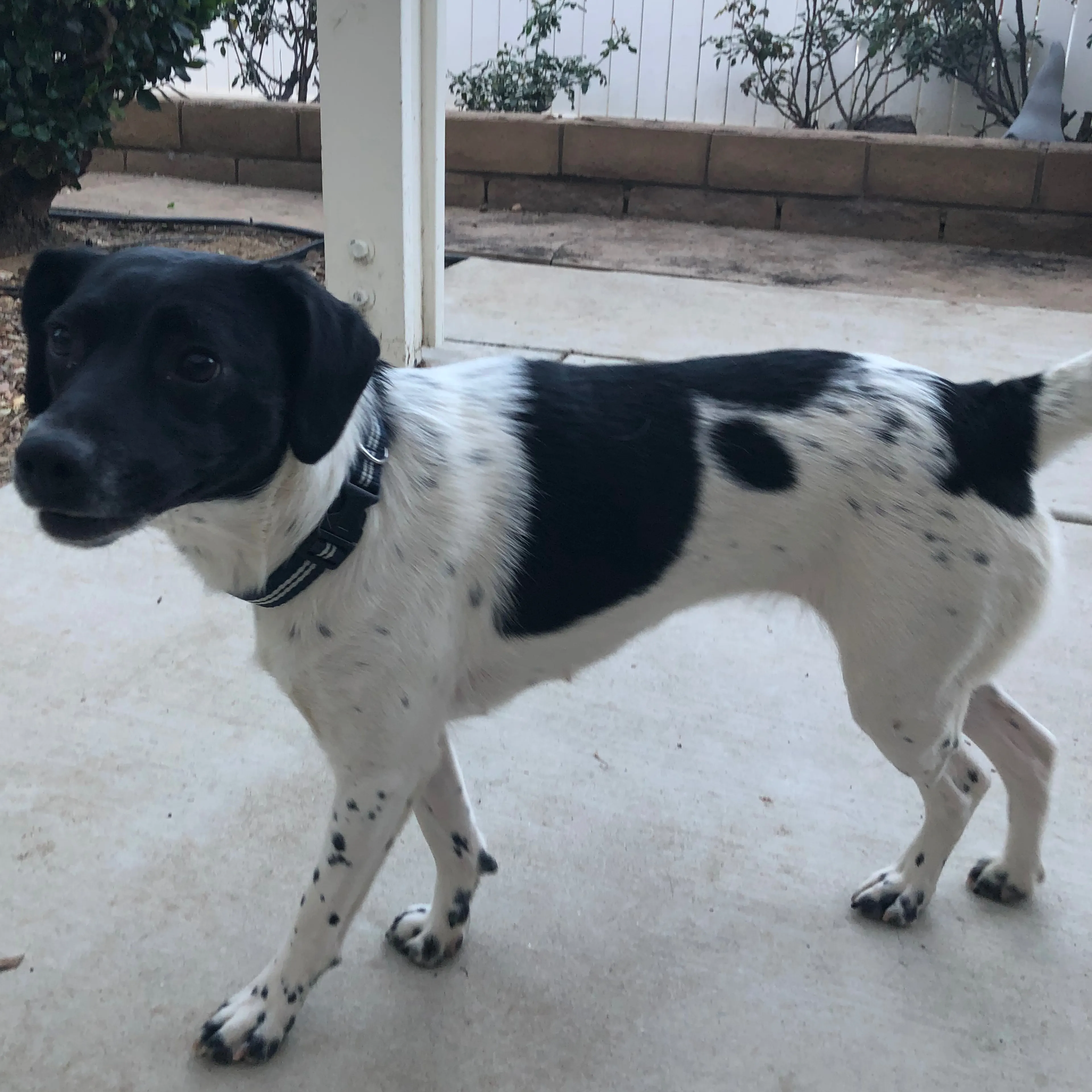 -1
