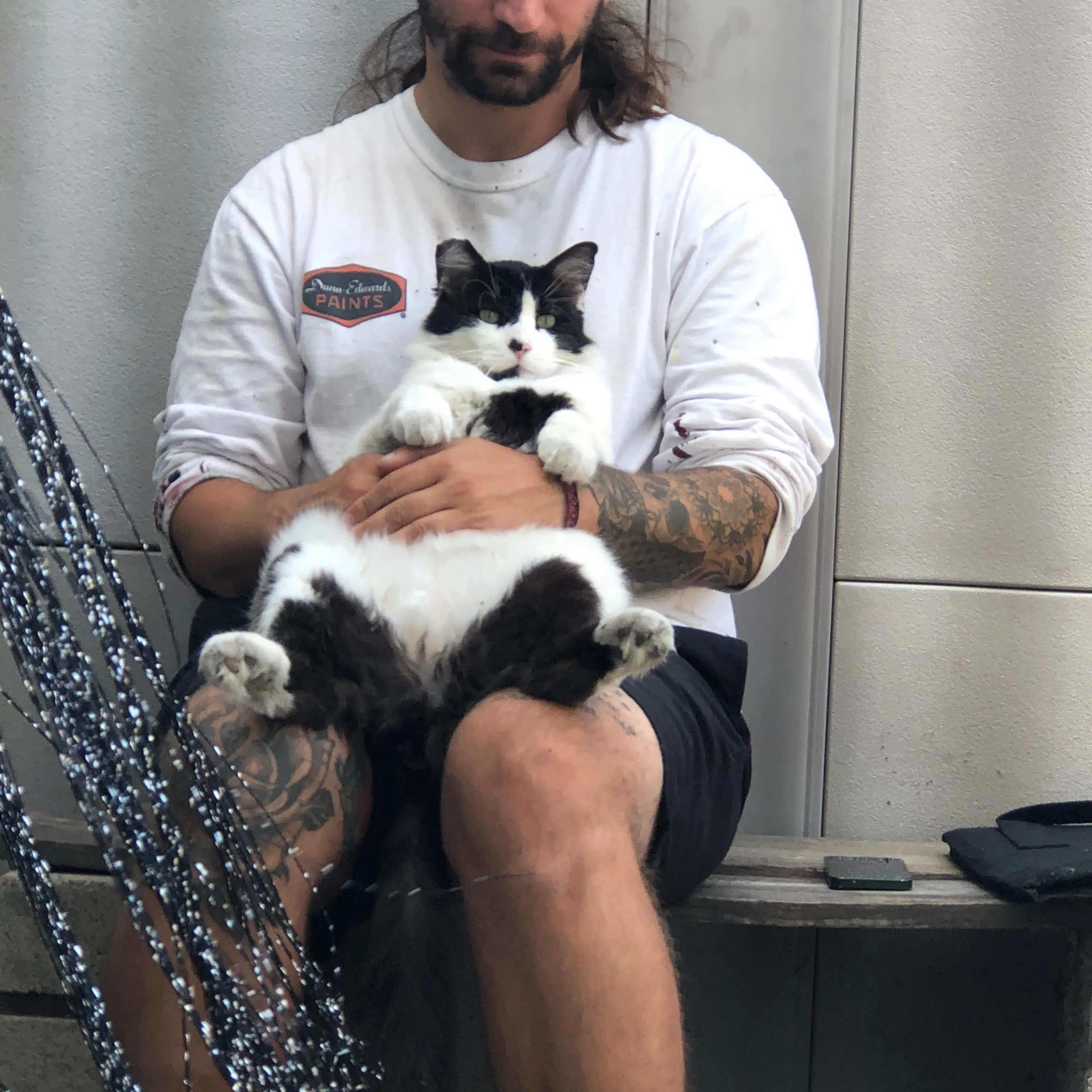 Lost pet-1