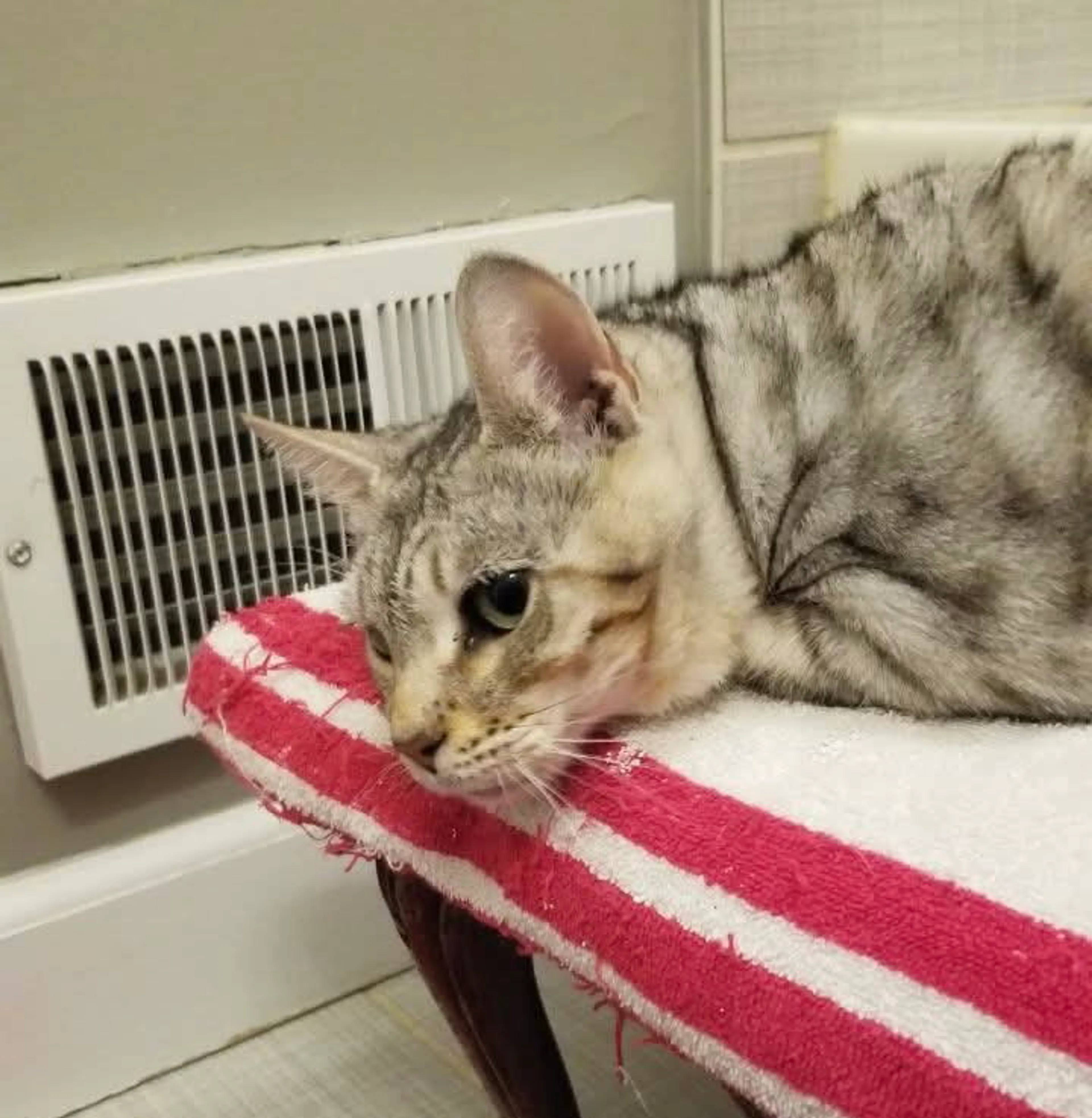 -7