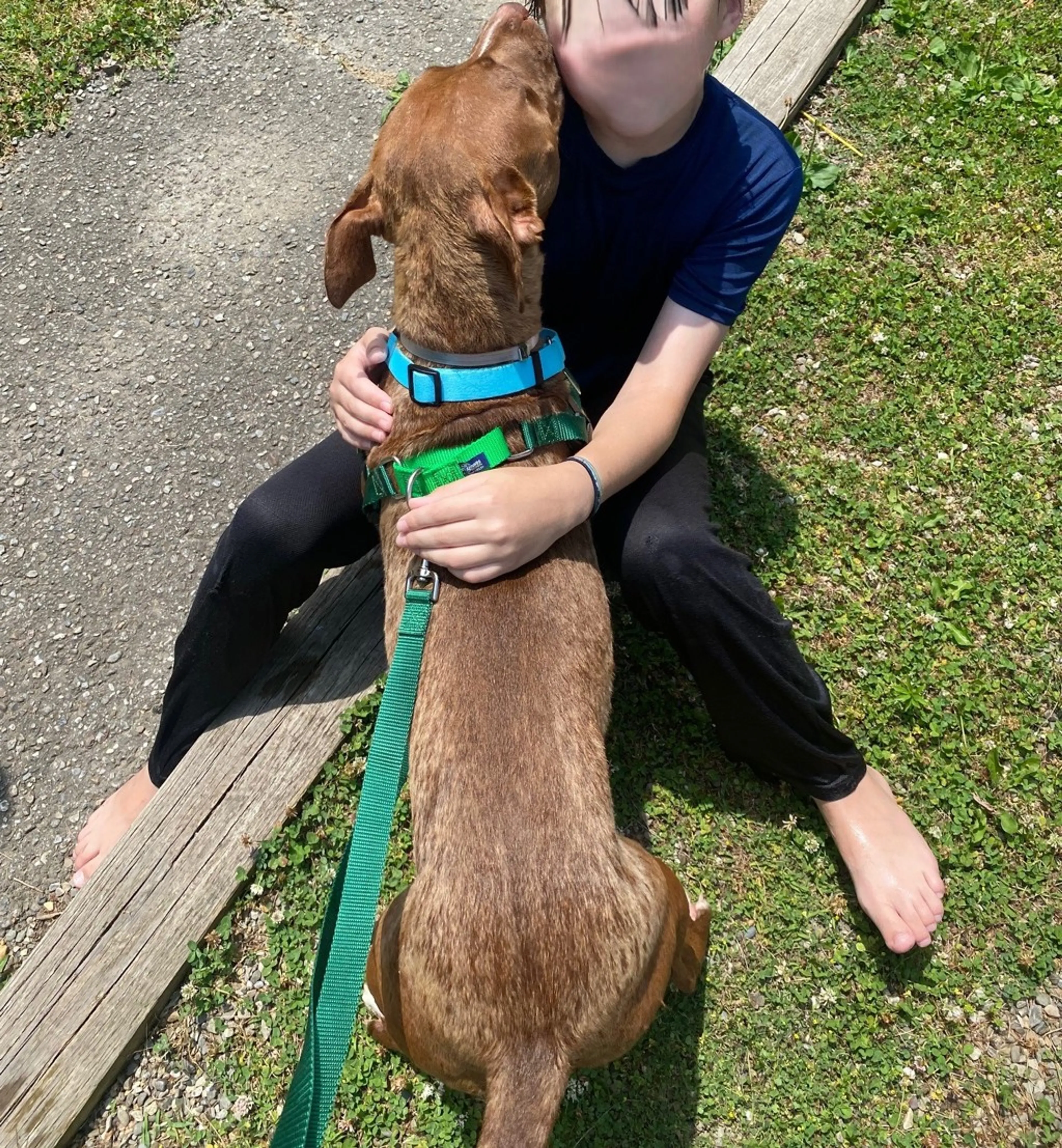 Found pet-5