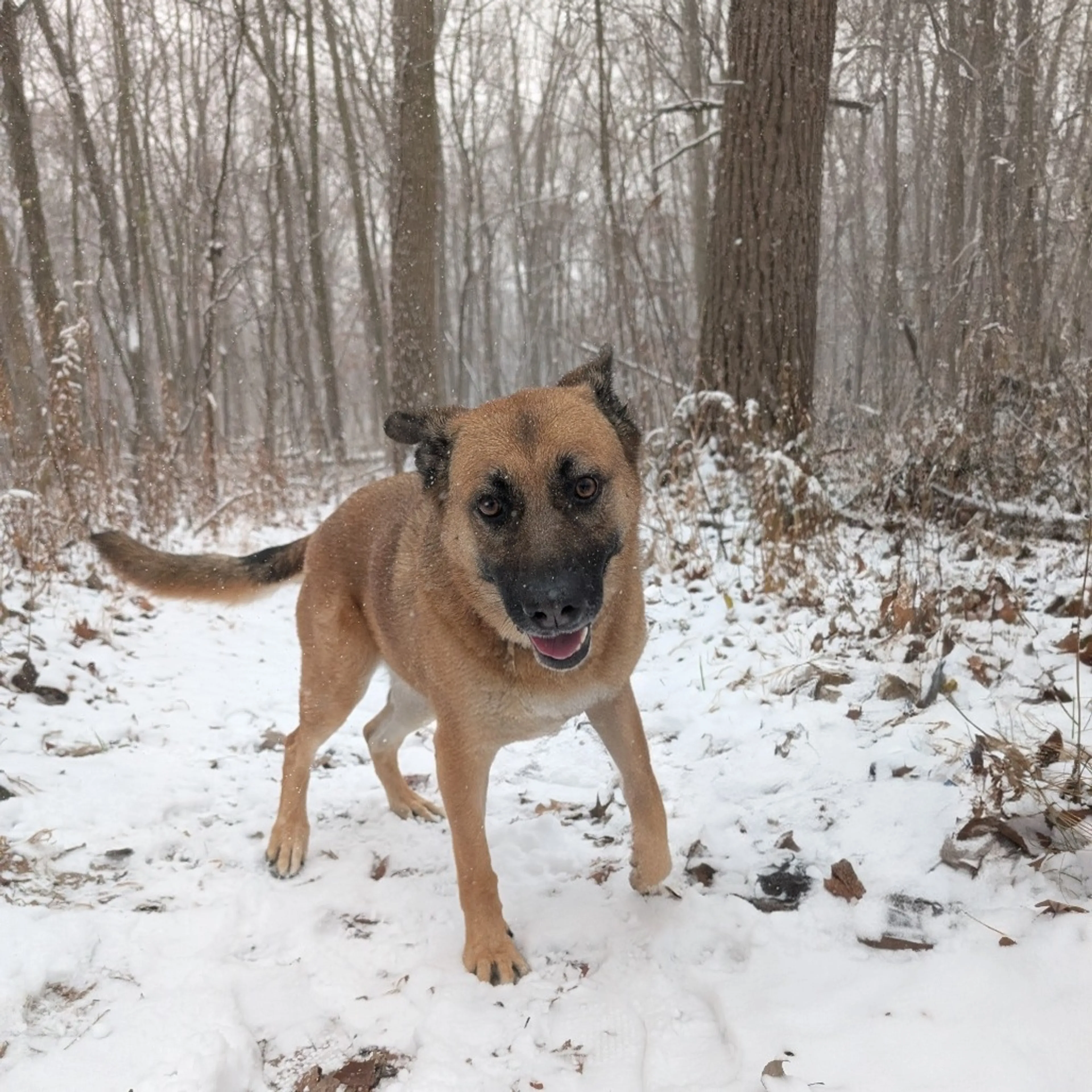 -29