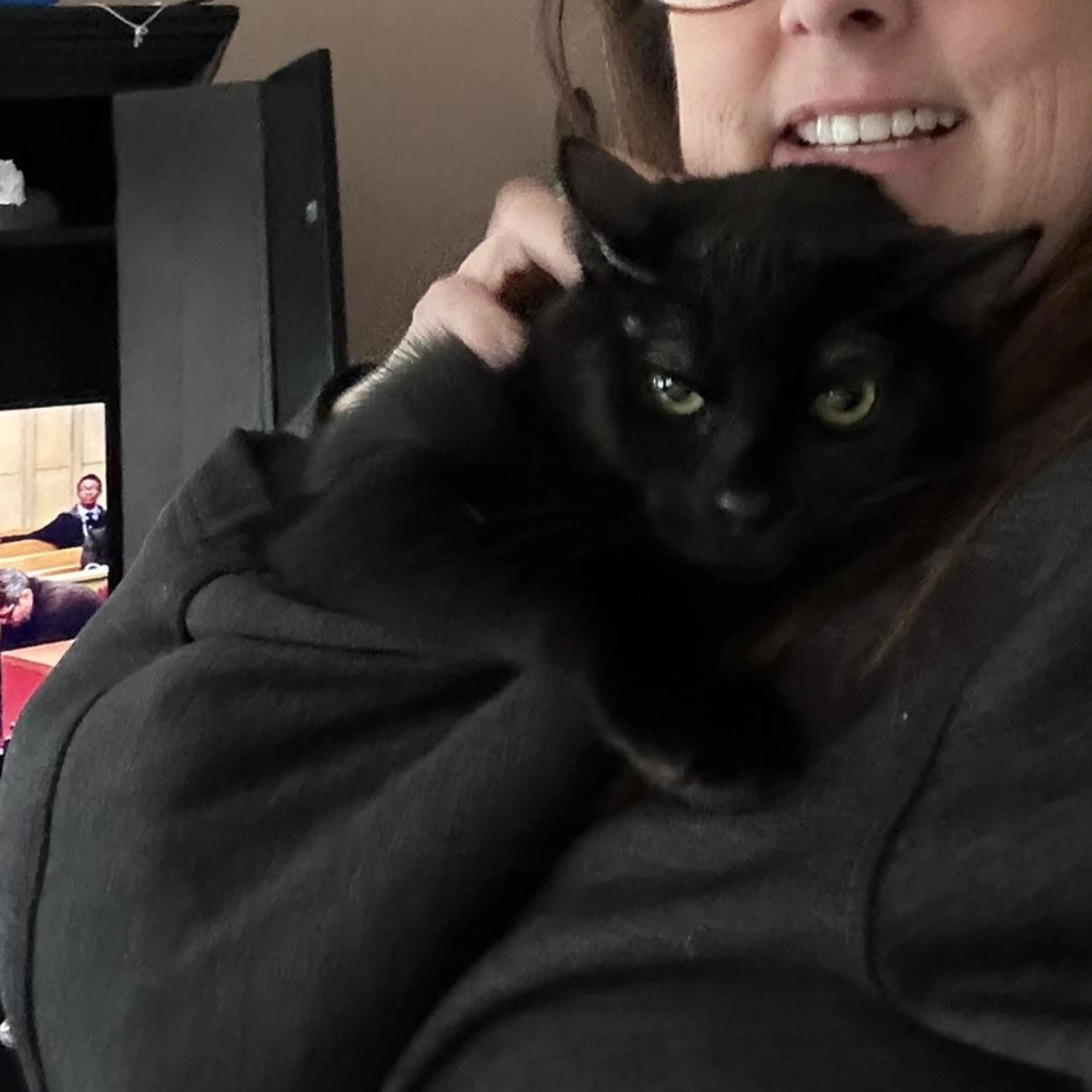 Found pet-2