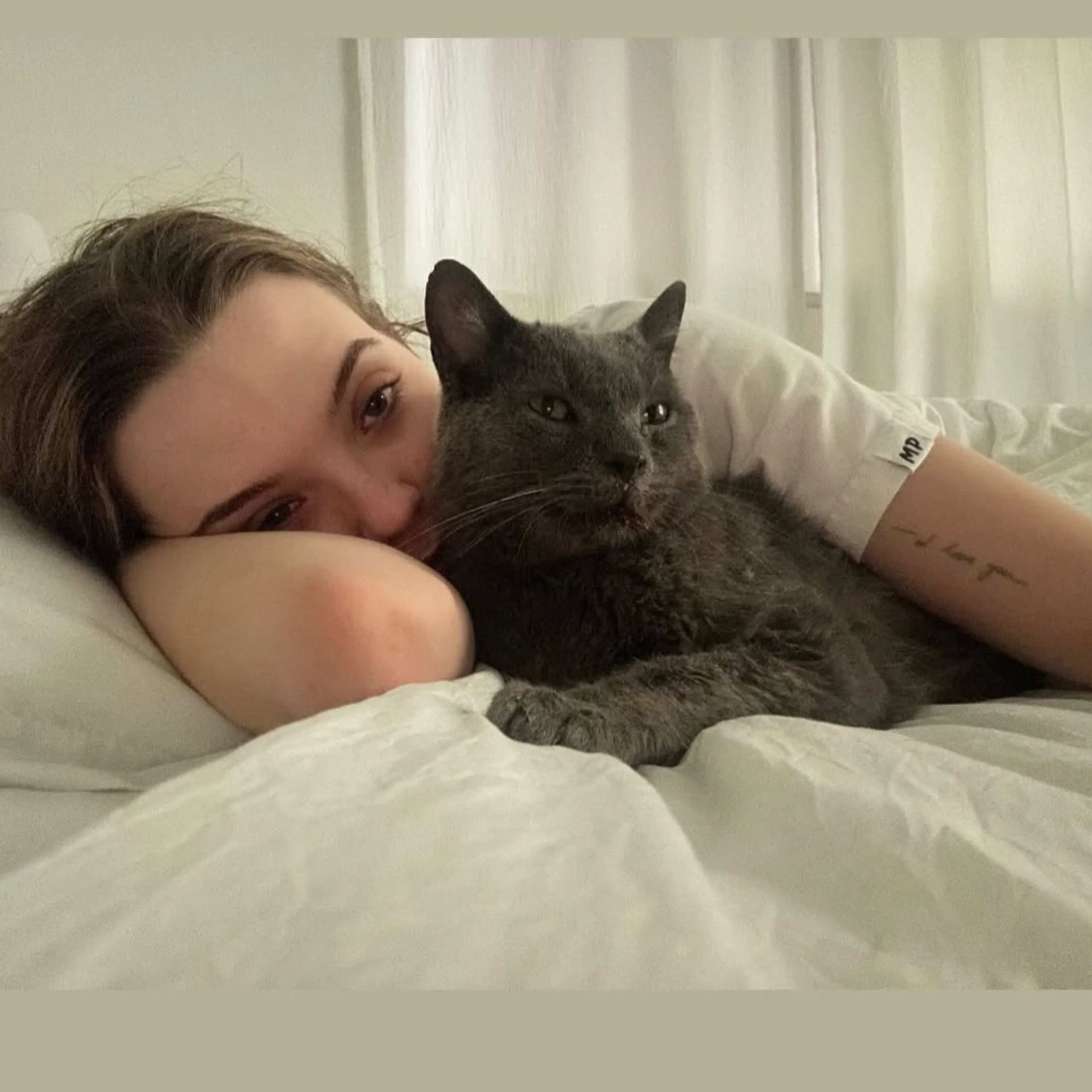 Found pet-17