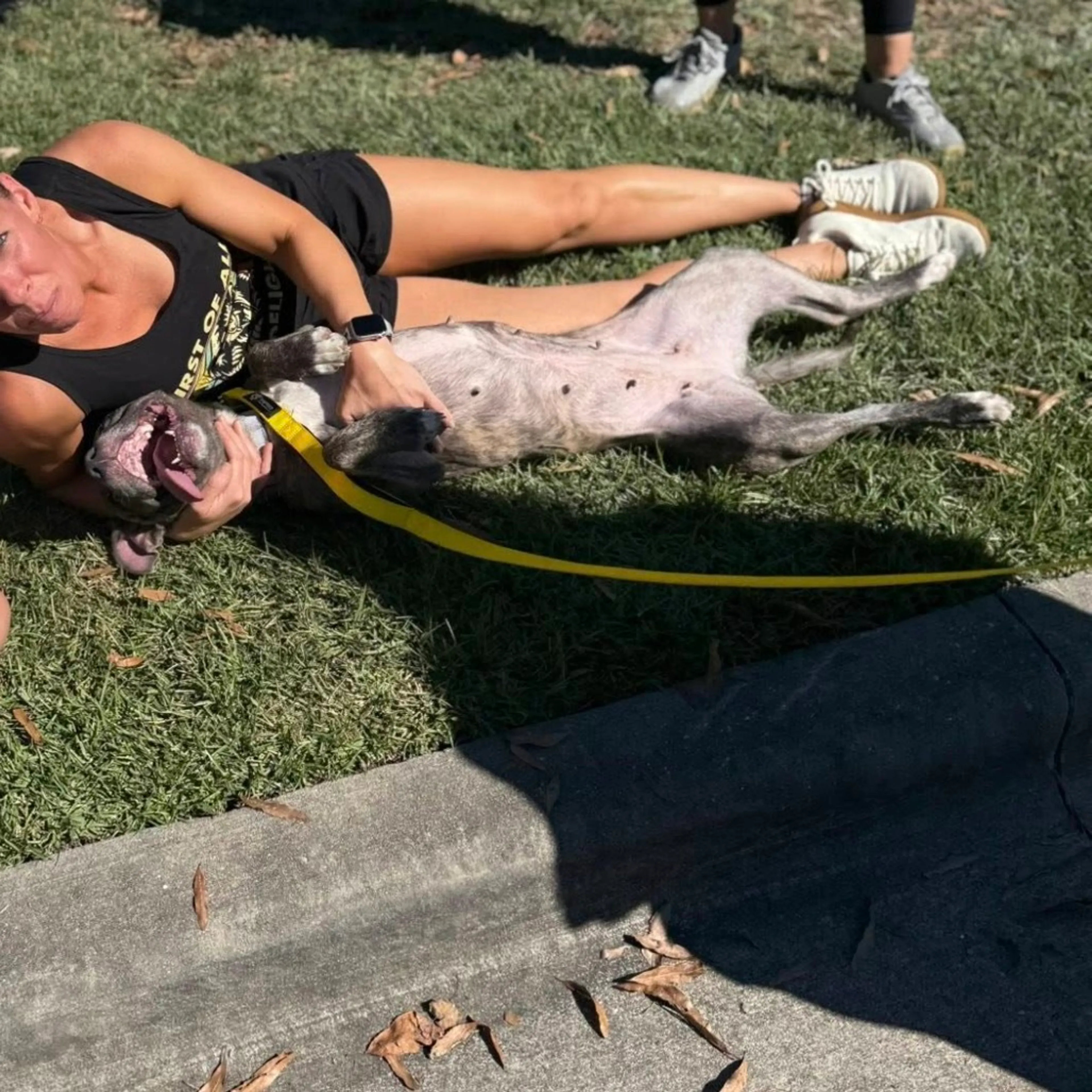 Found pet-5