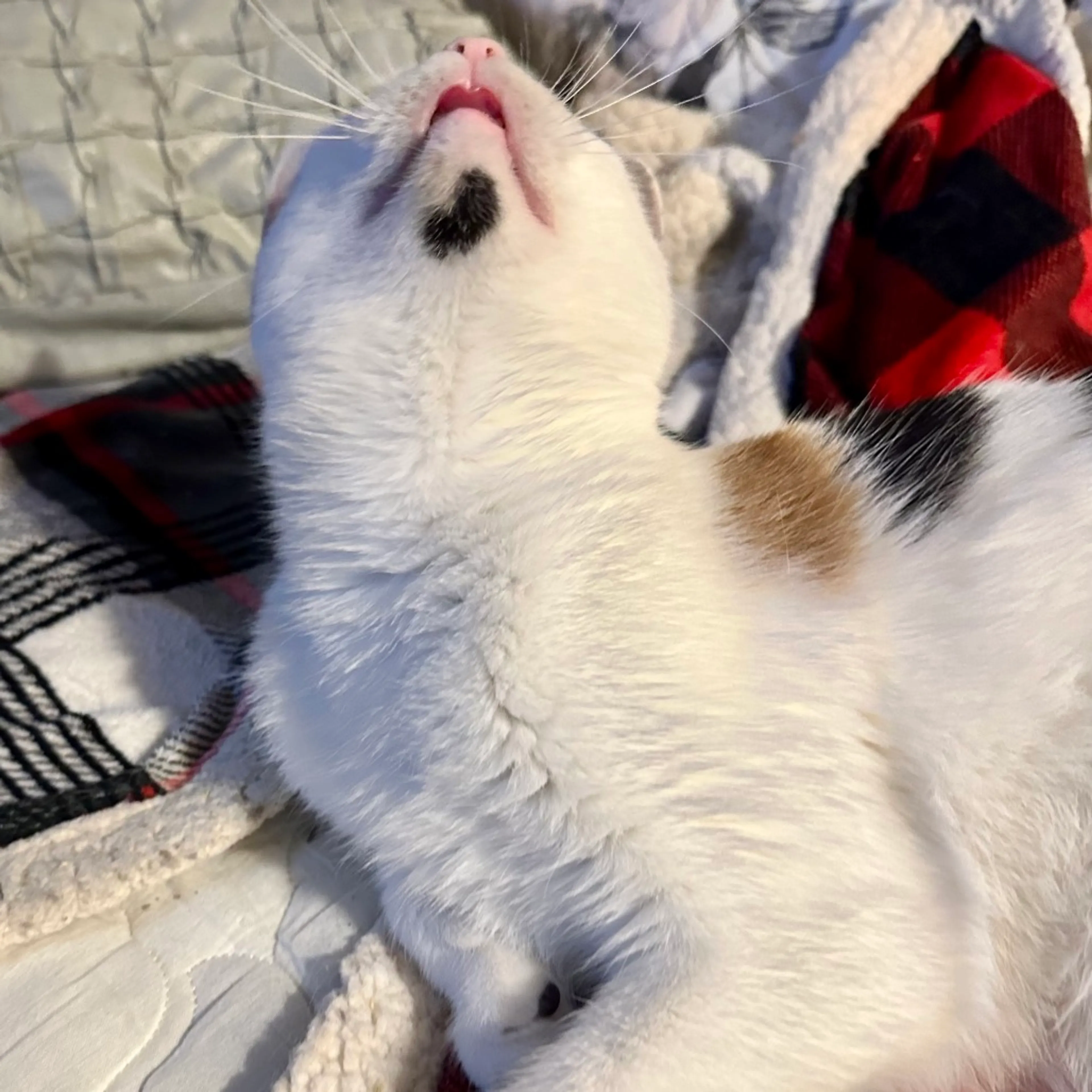 -2