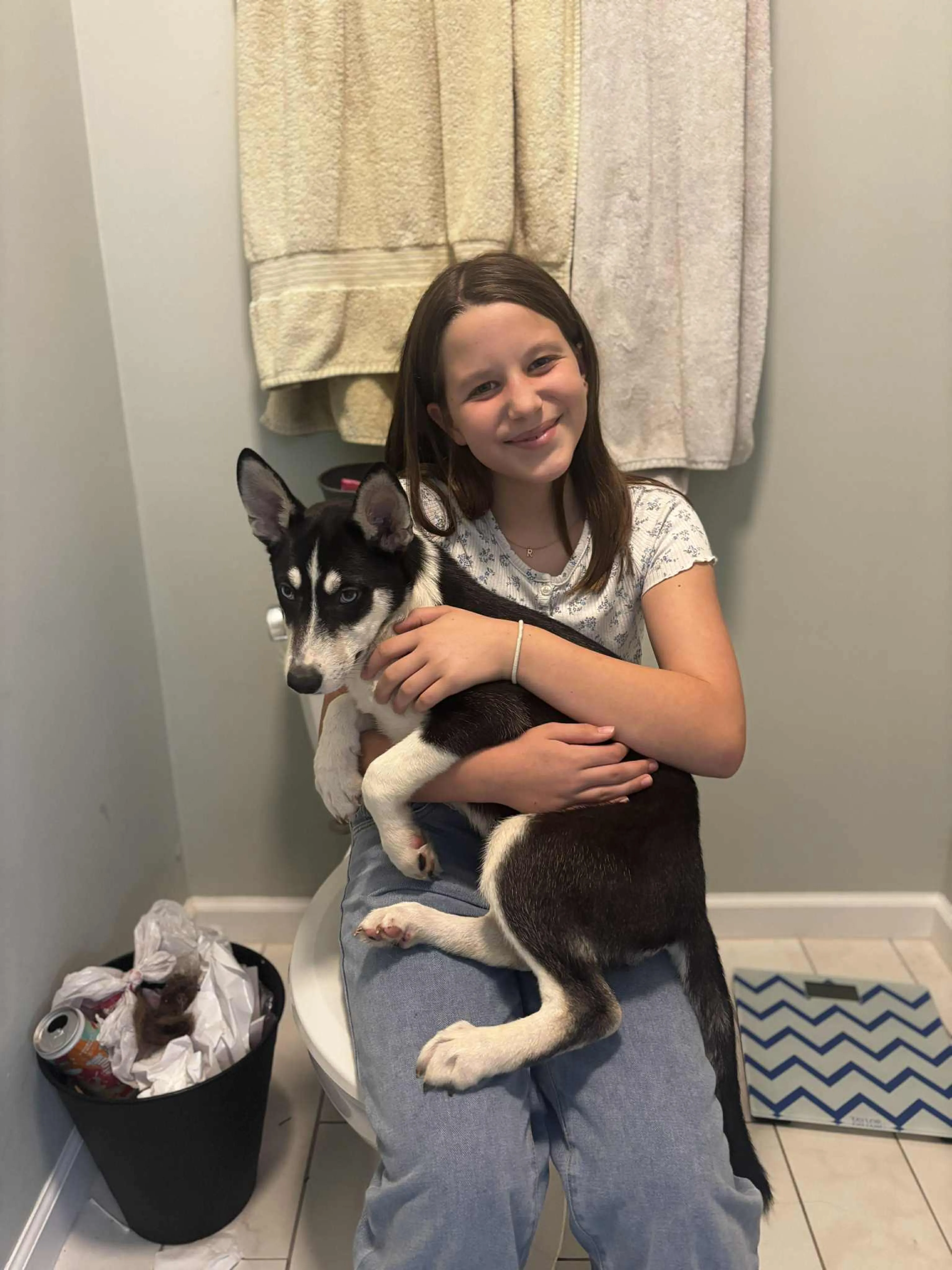 Found pet-10
