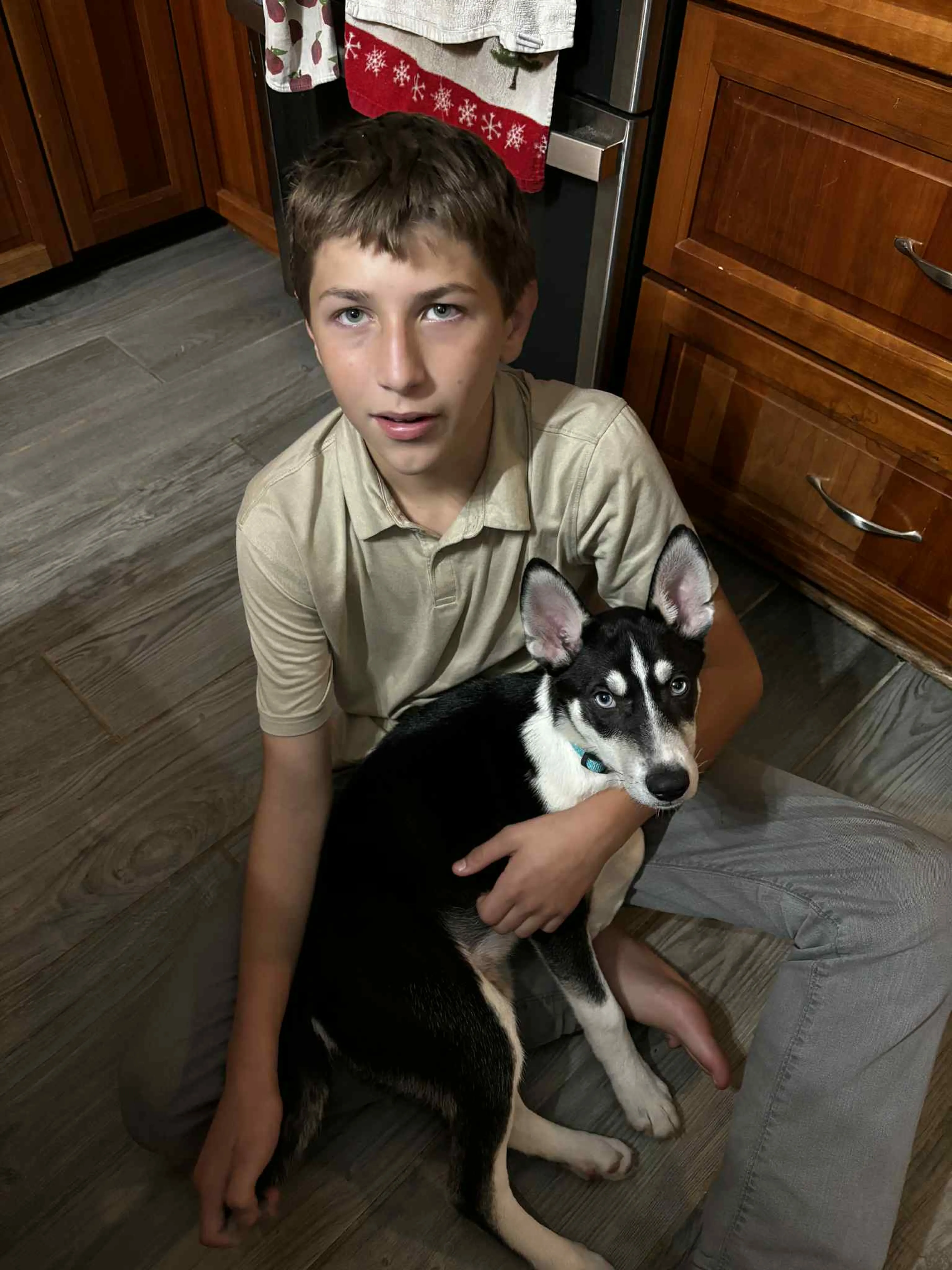 Found pet-14