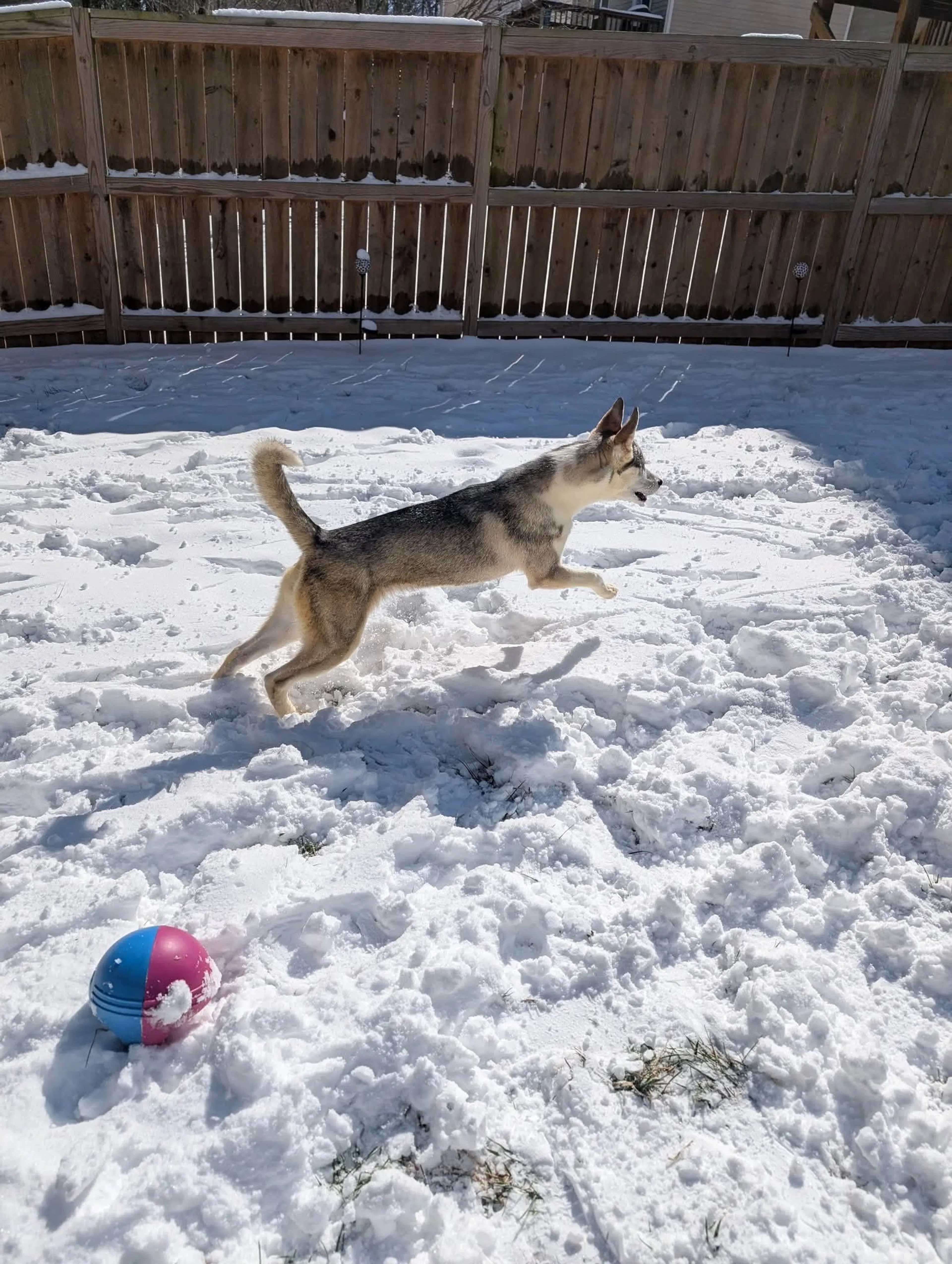 -12