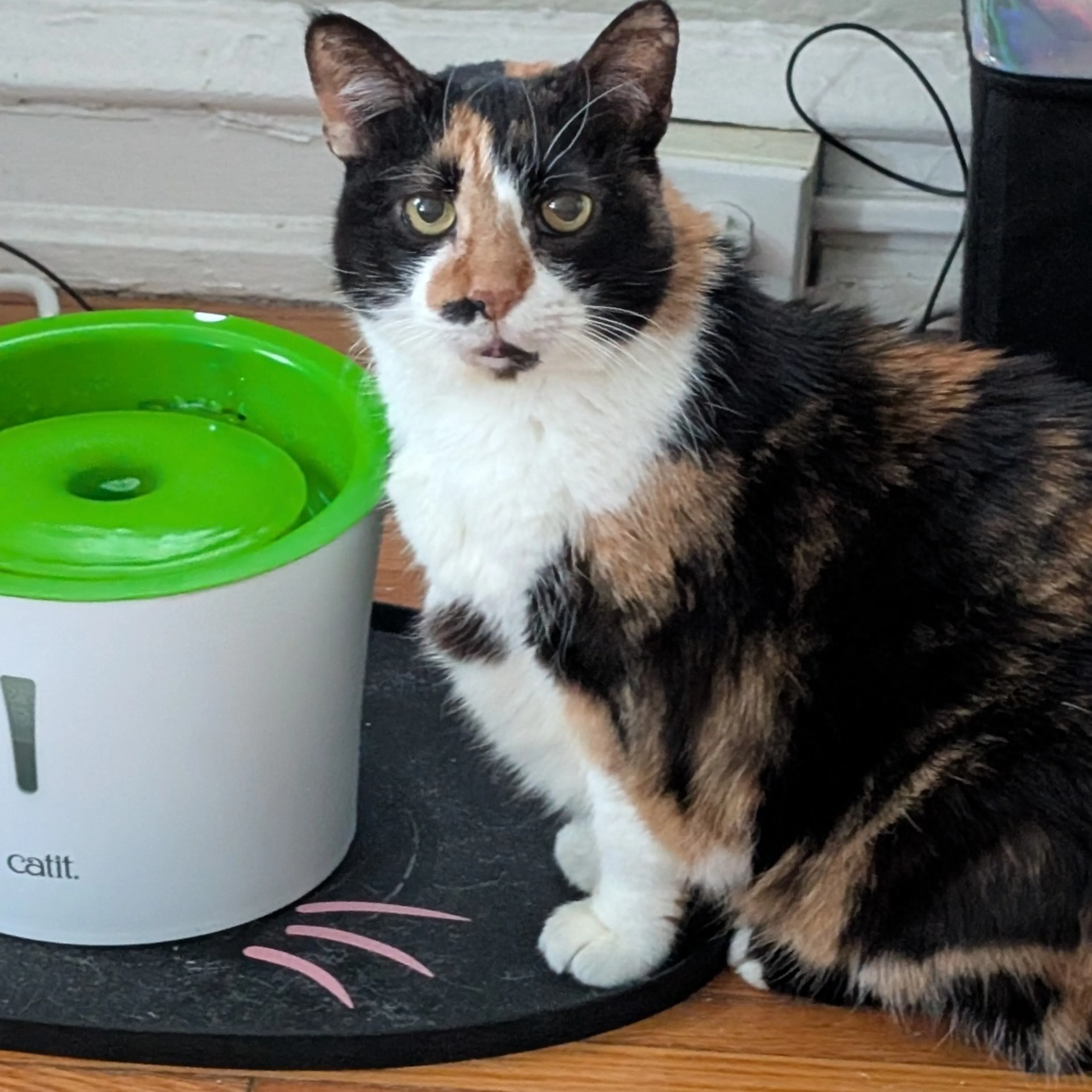 -12