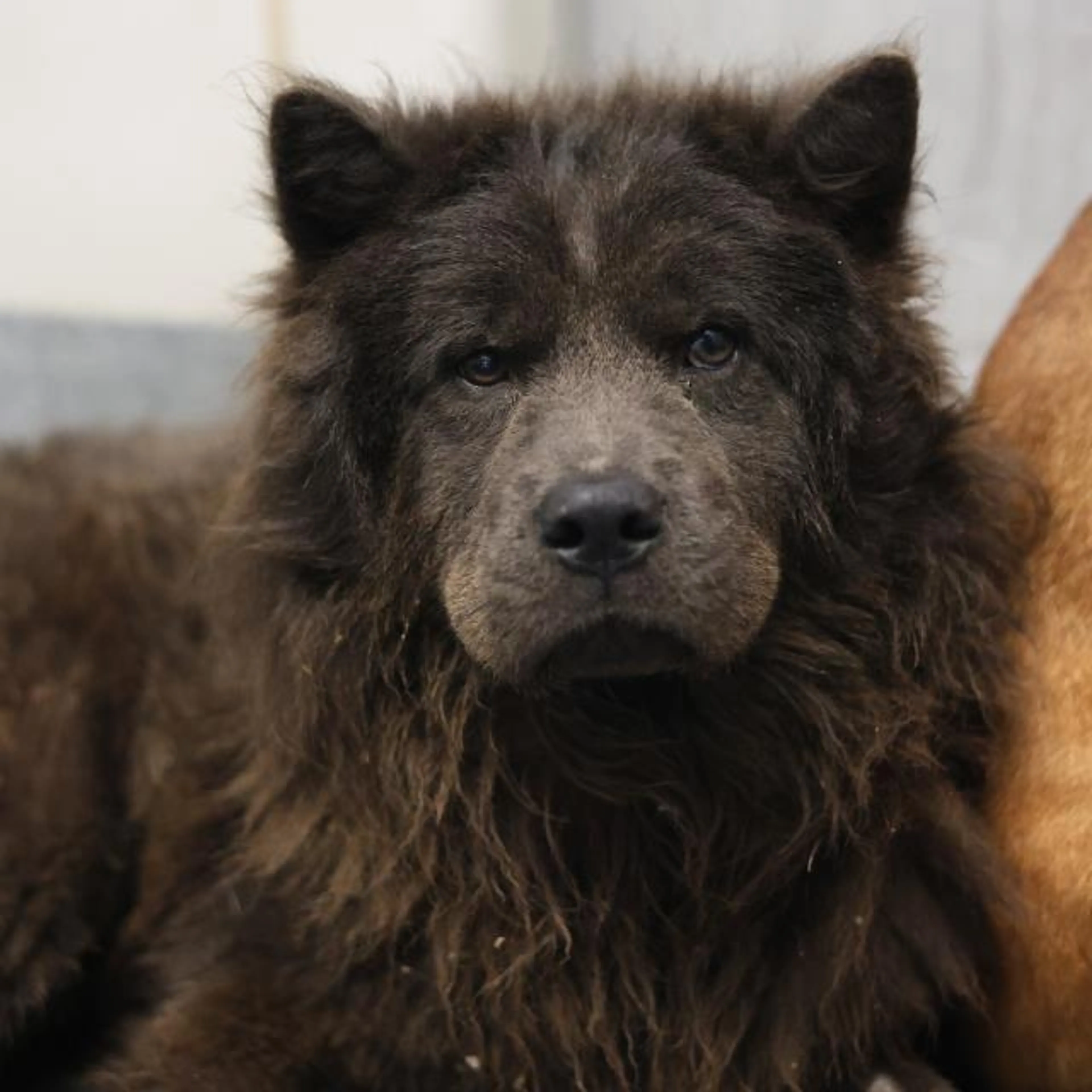 -1