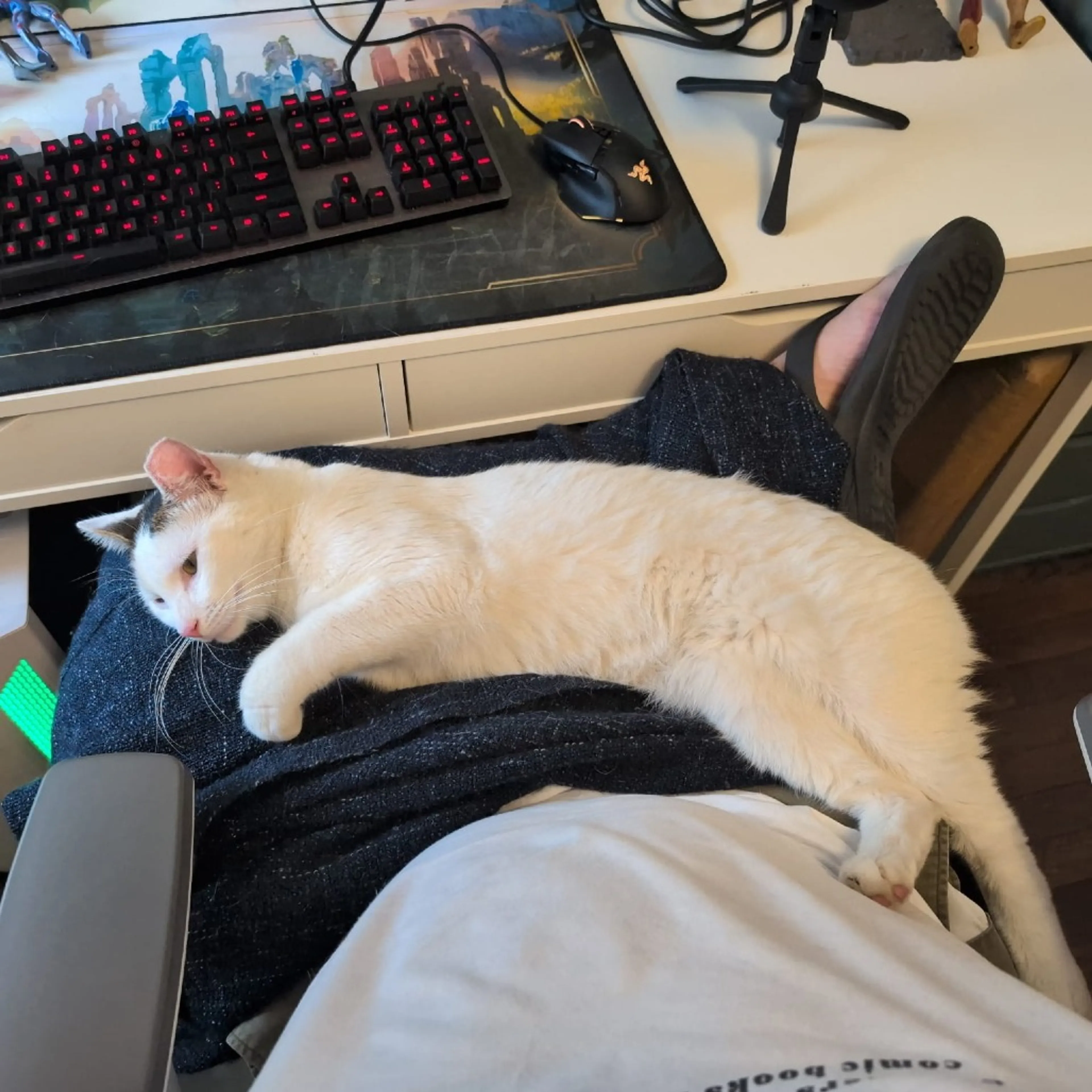 -2