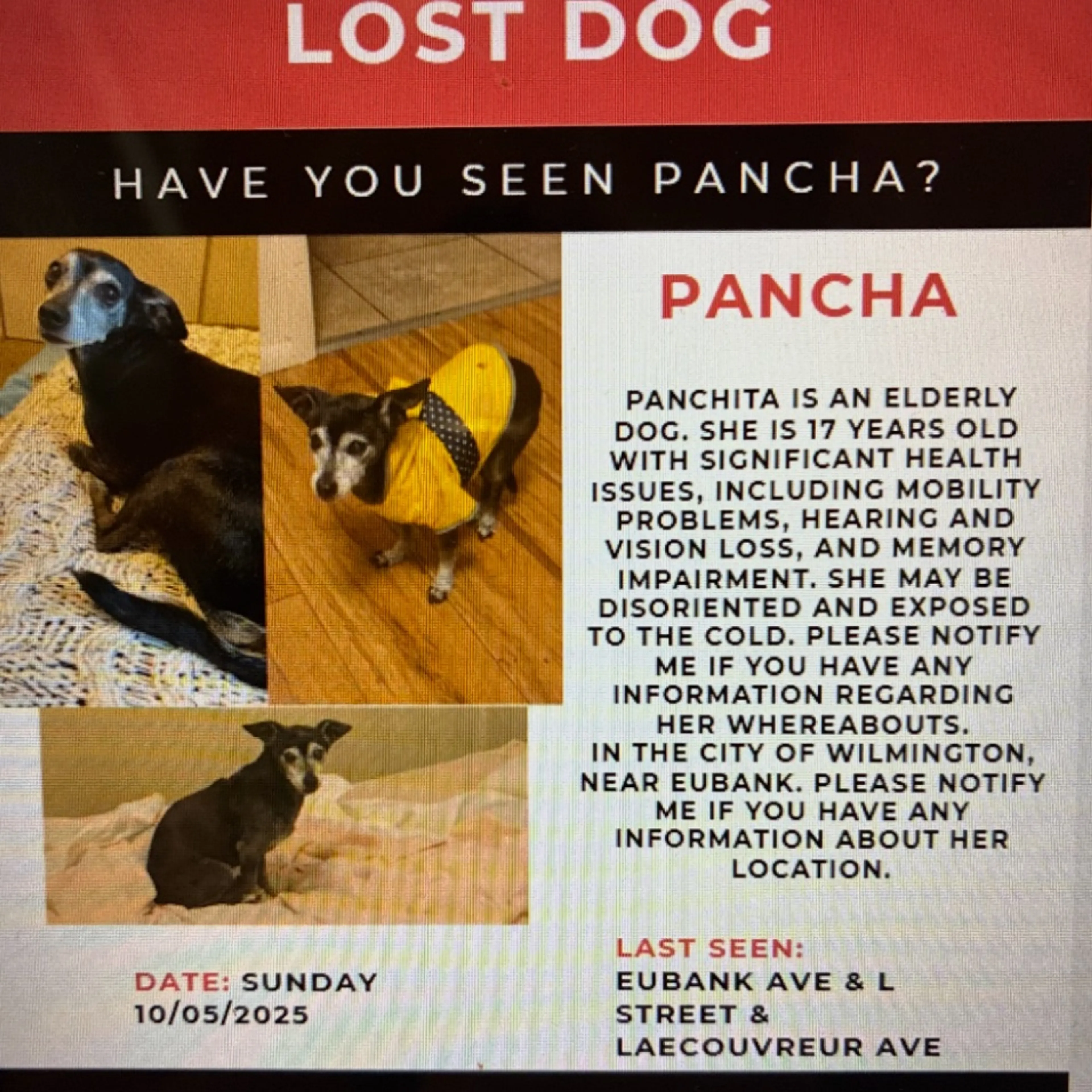 Lost pet-0