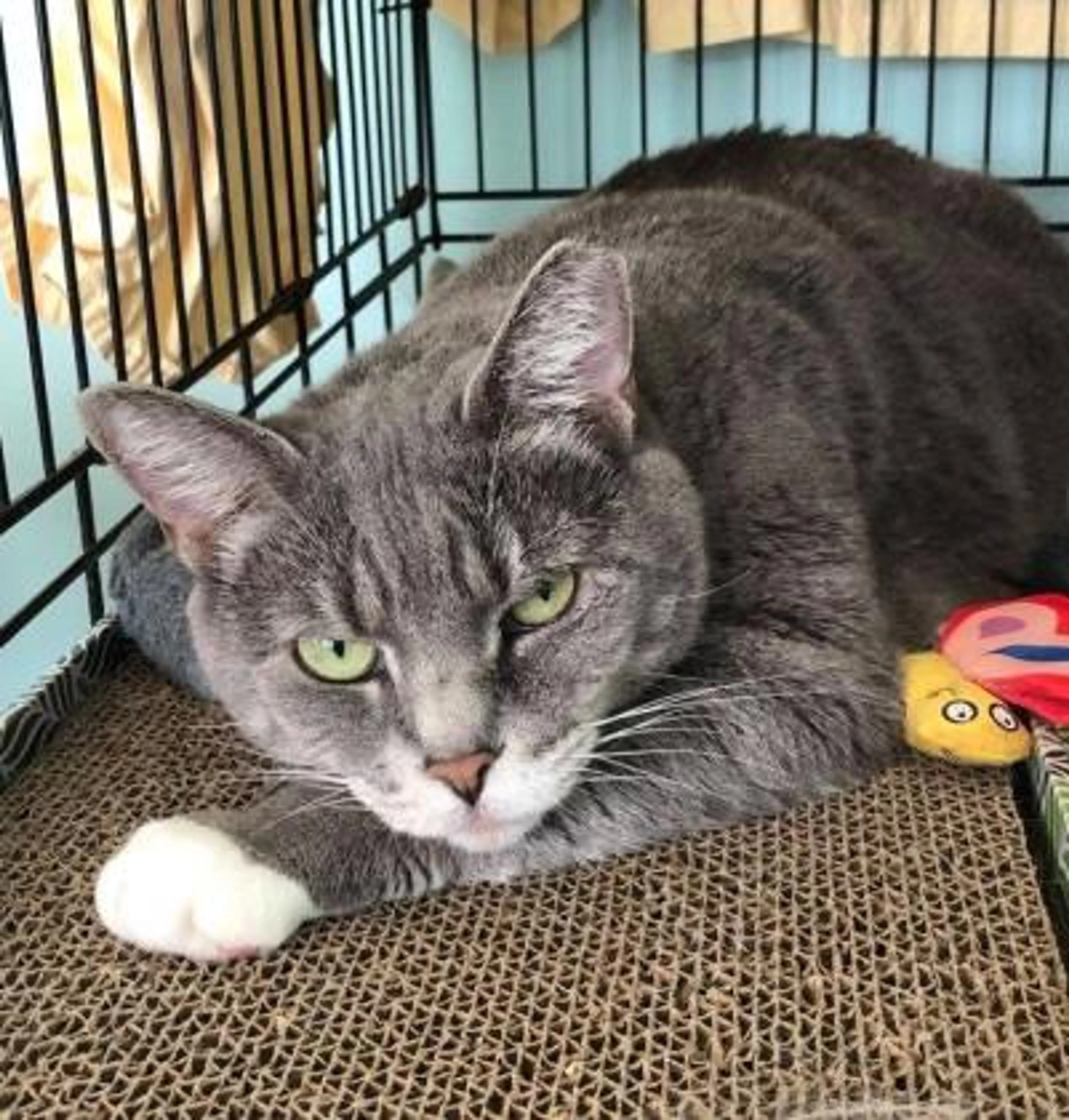 -1