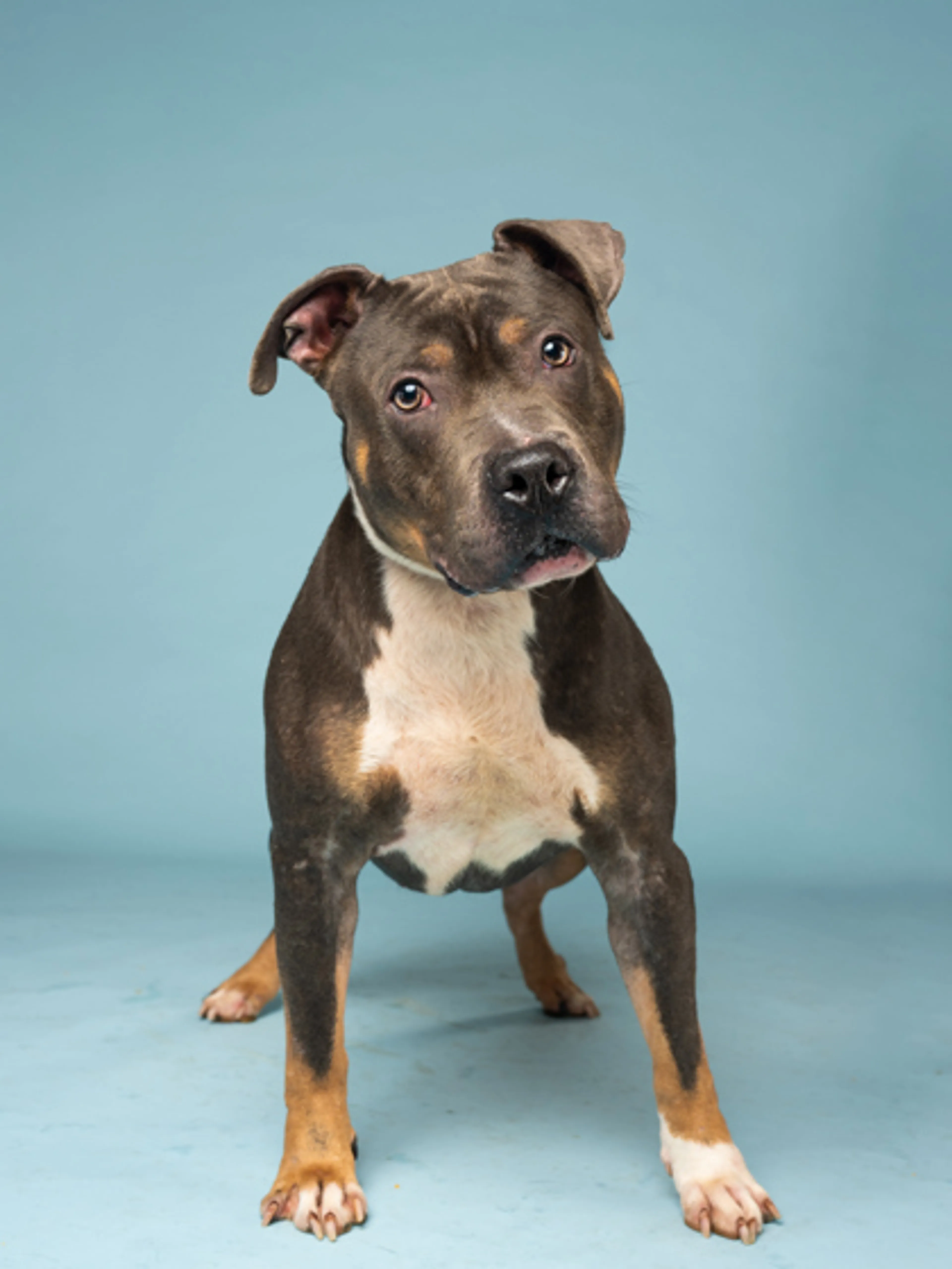 -1