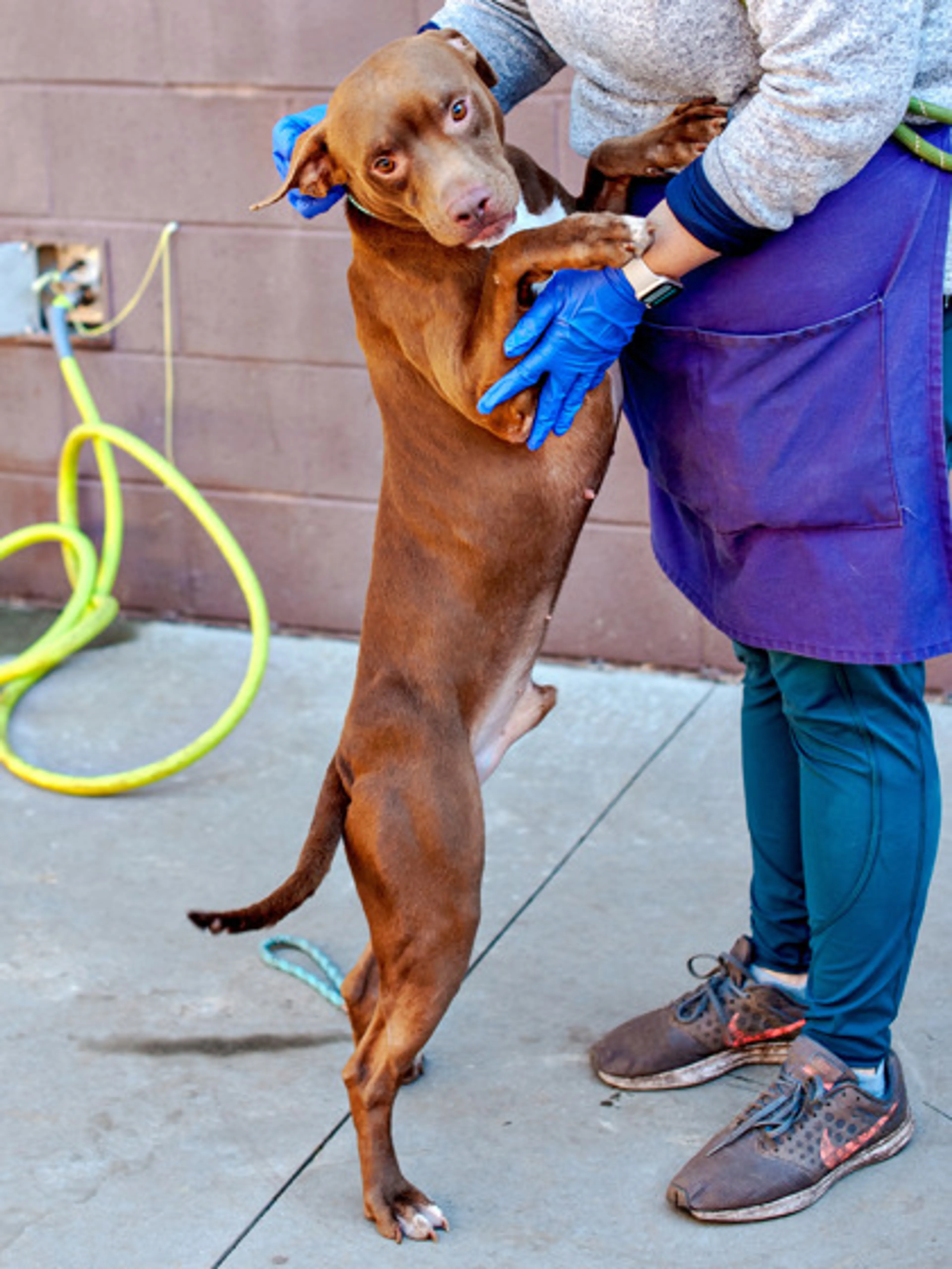-2