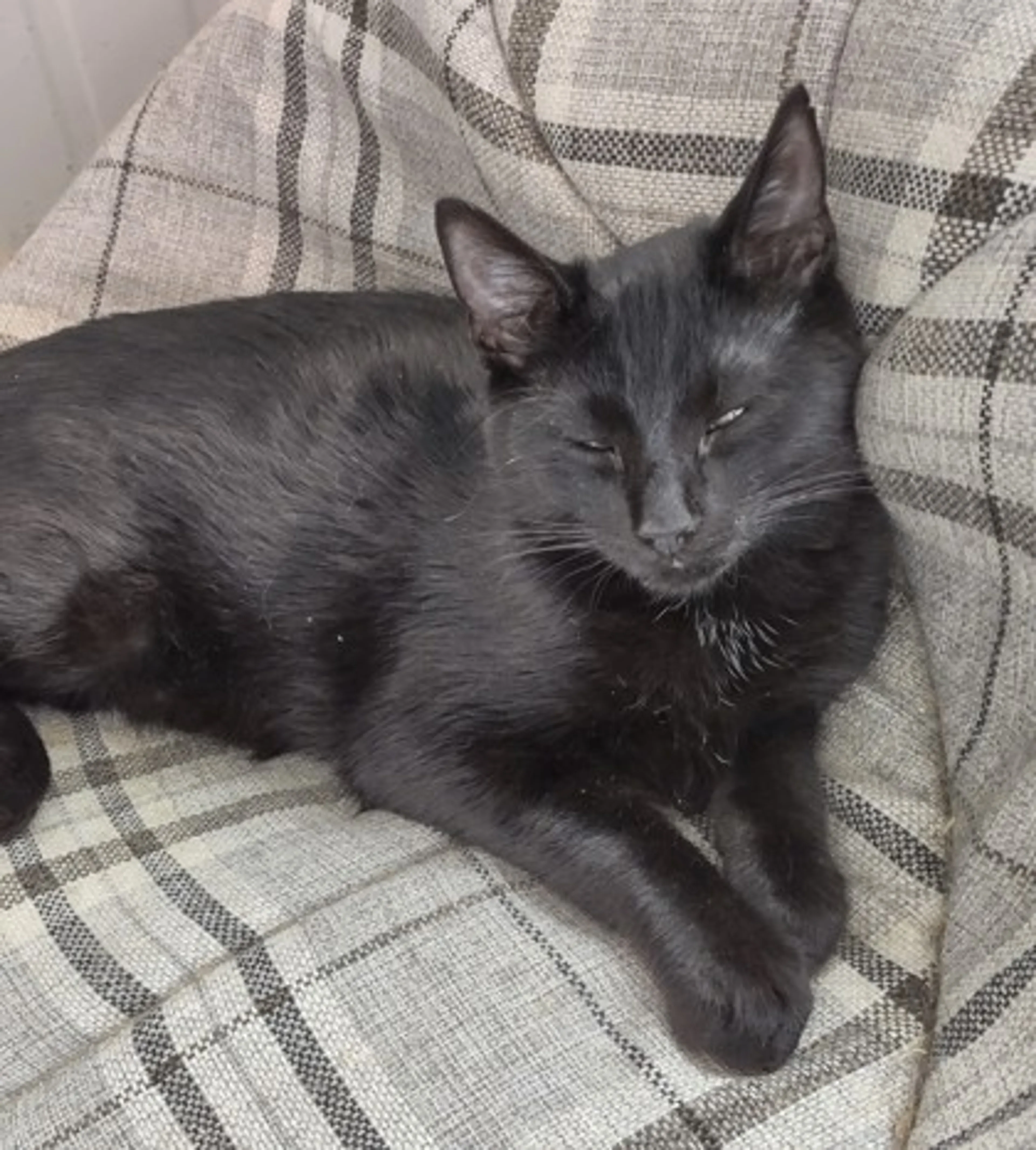 -1