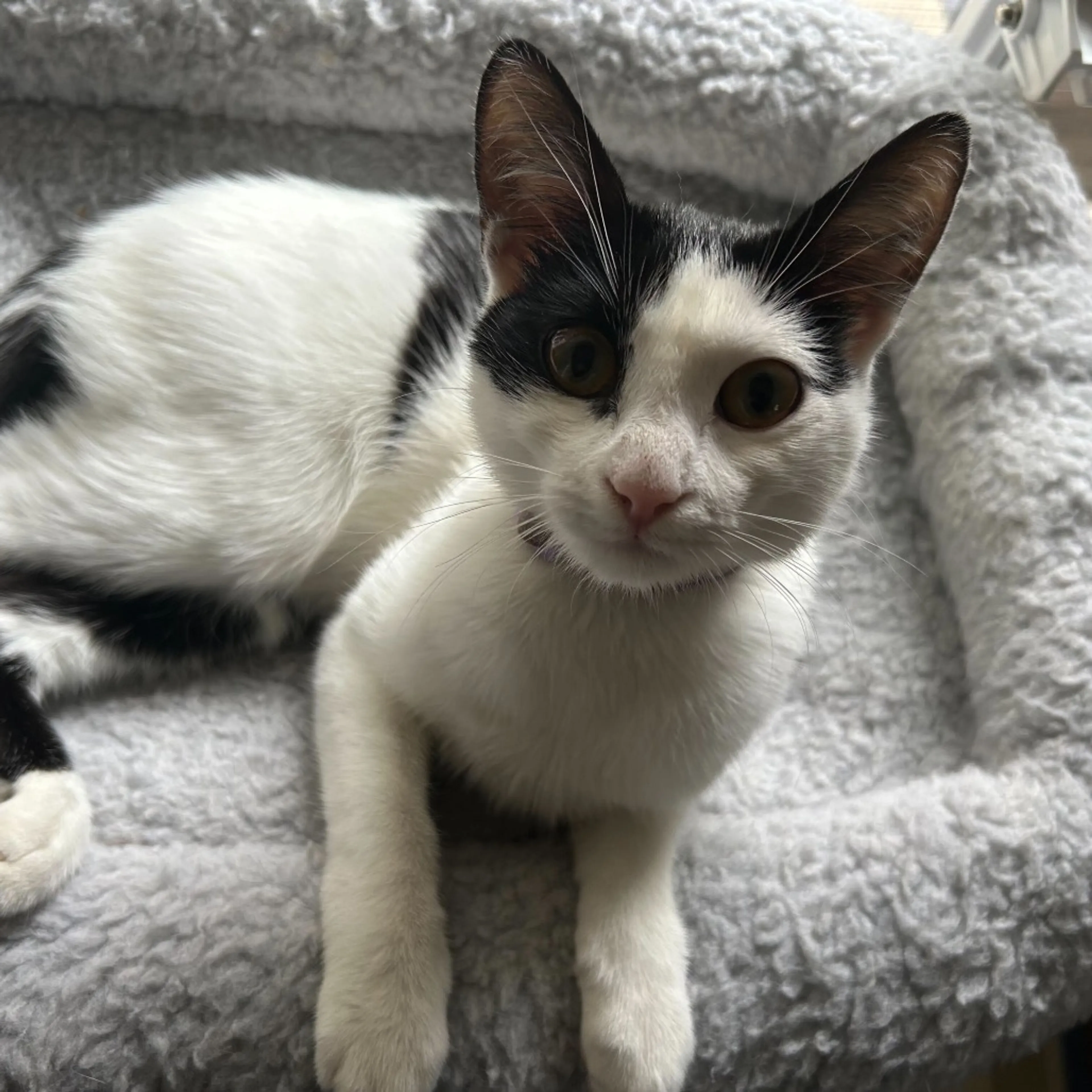 -0
