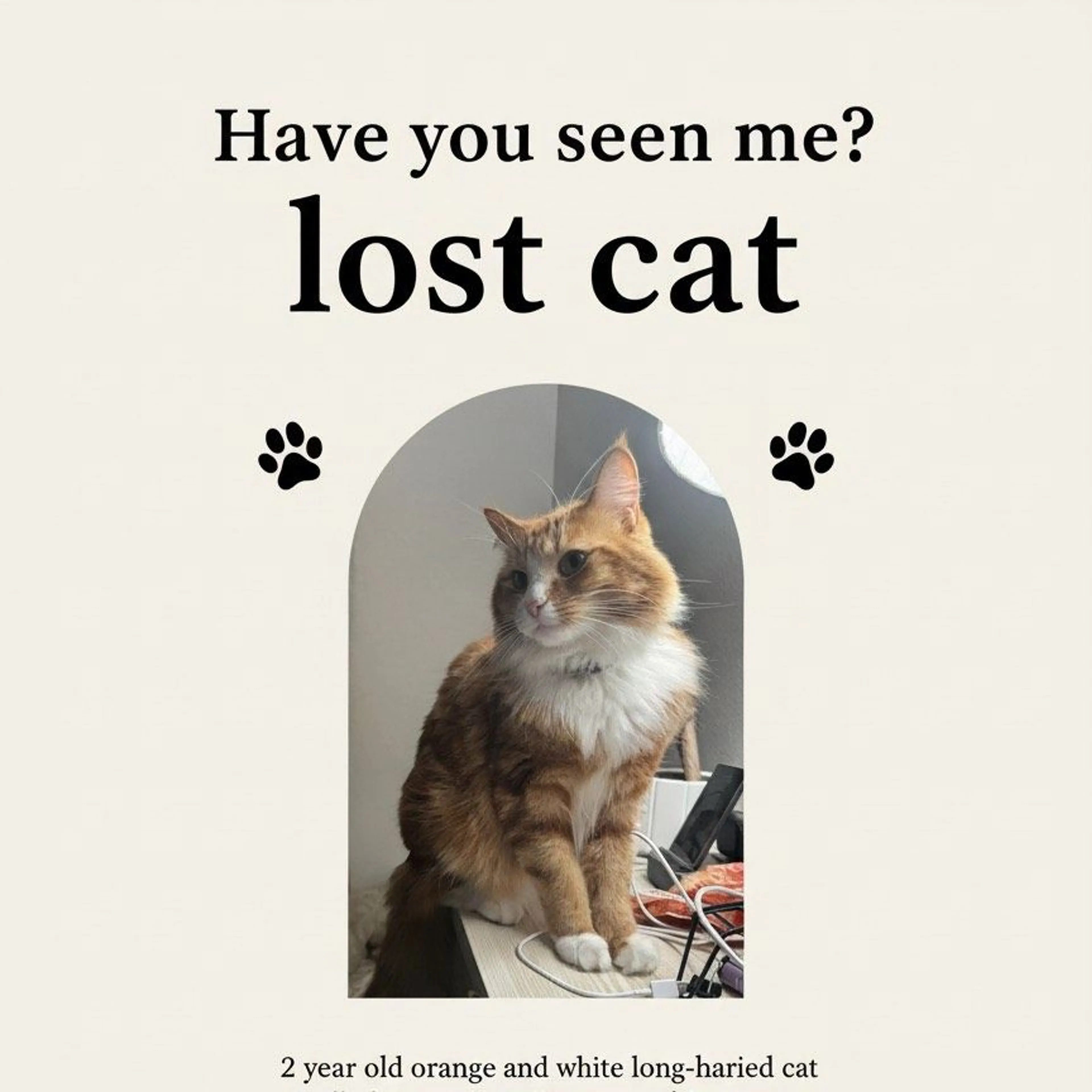 Lost pet