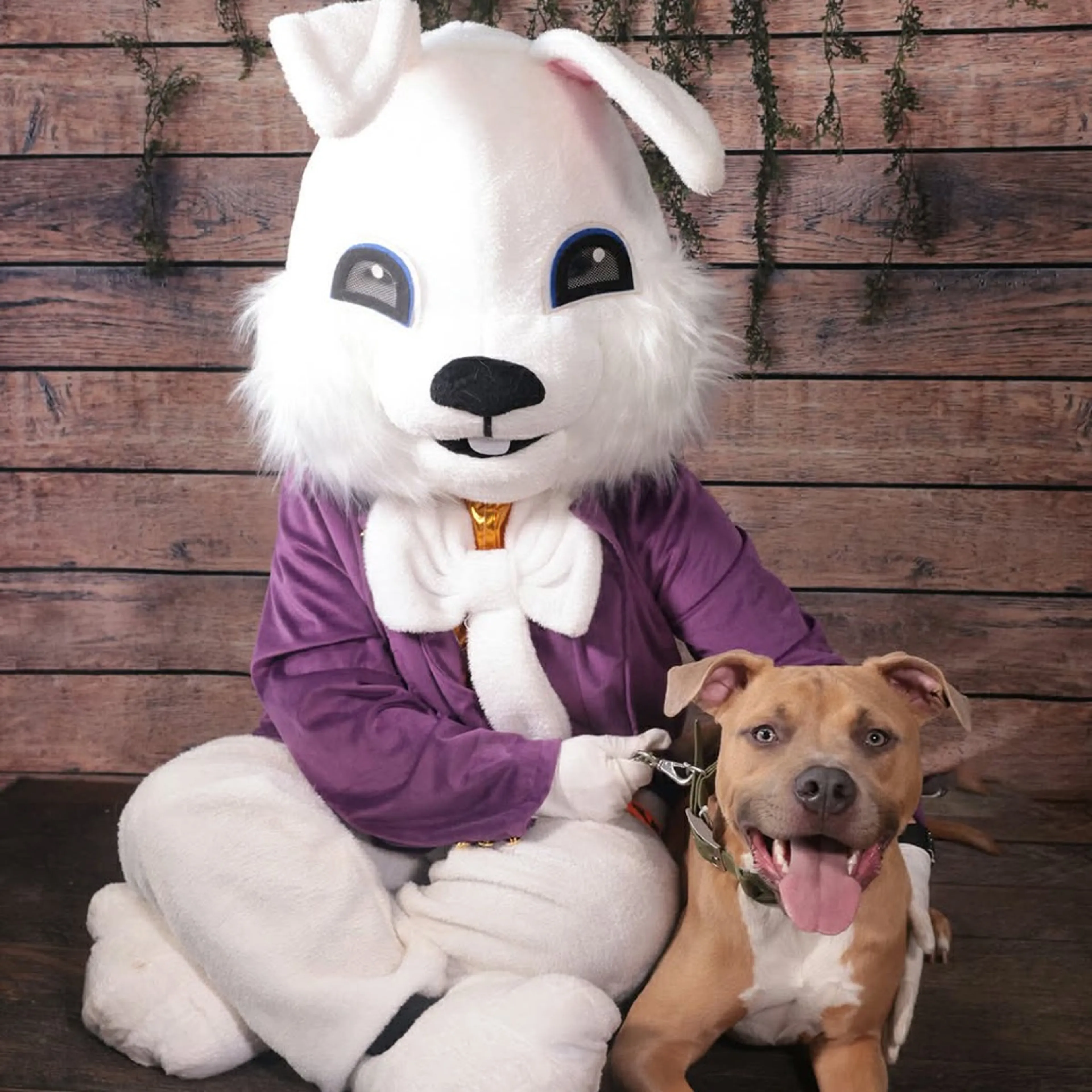 Found pet-9
