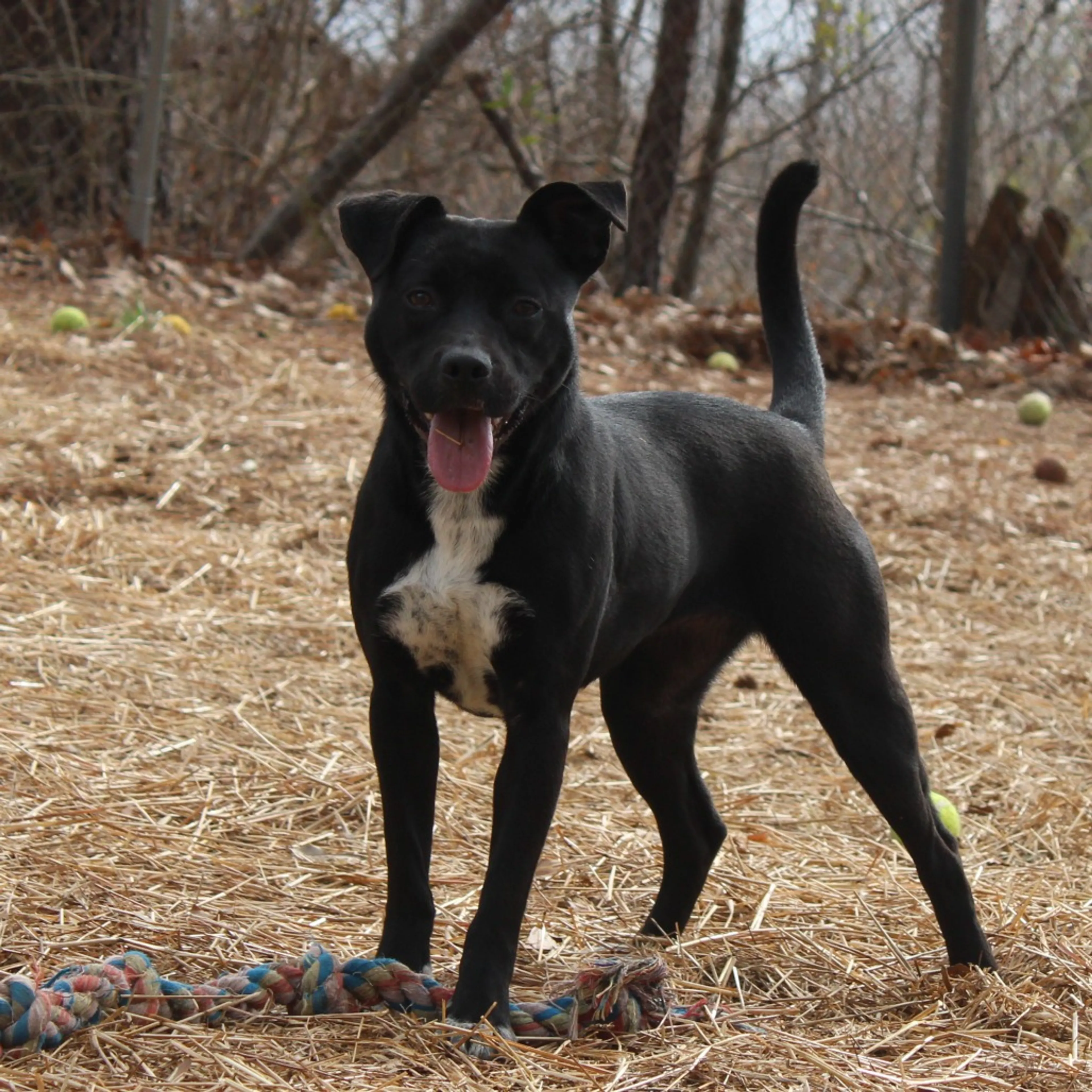 -15