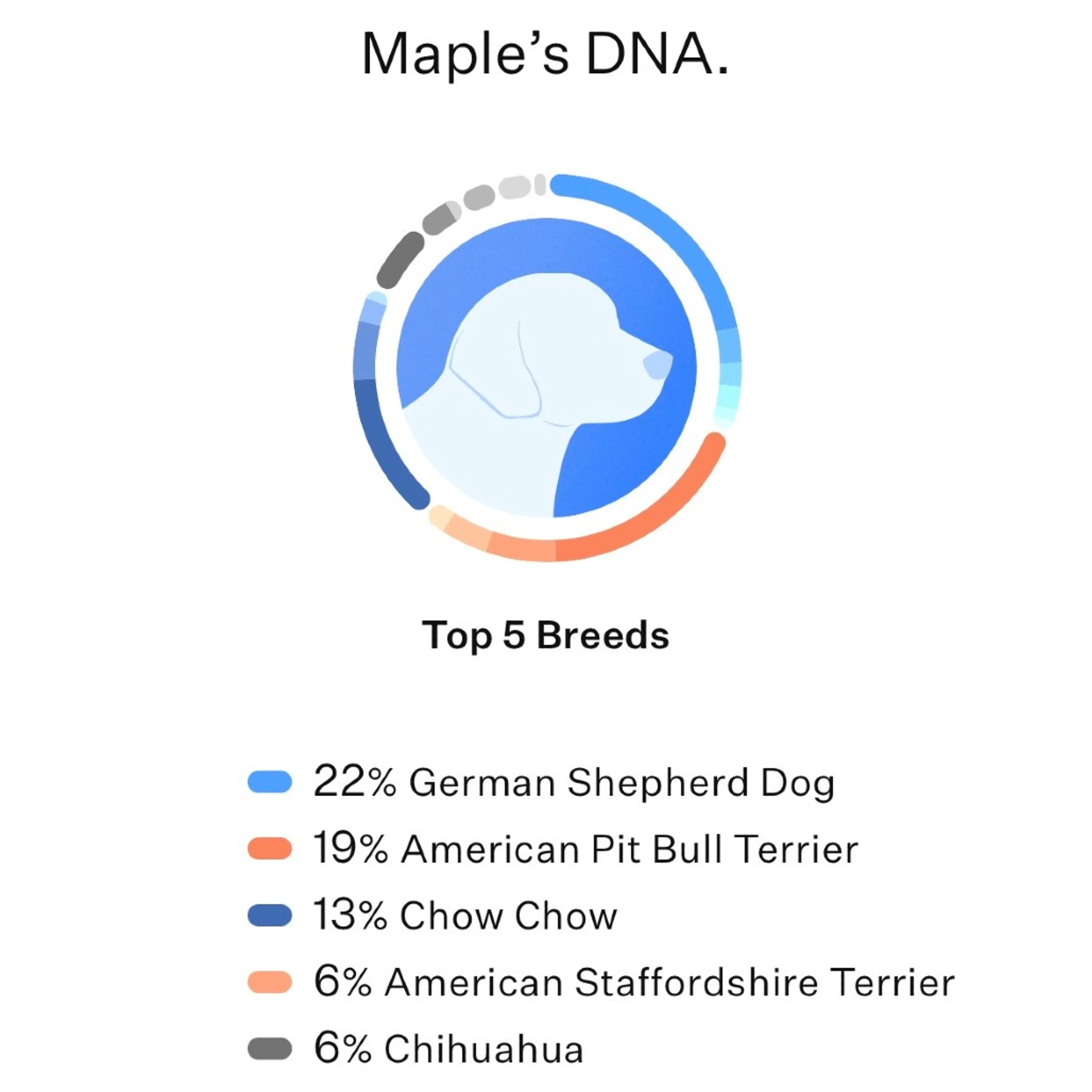 cdn image