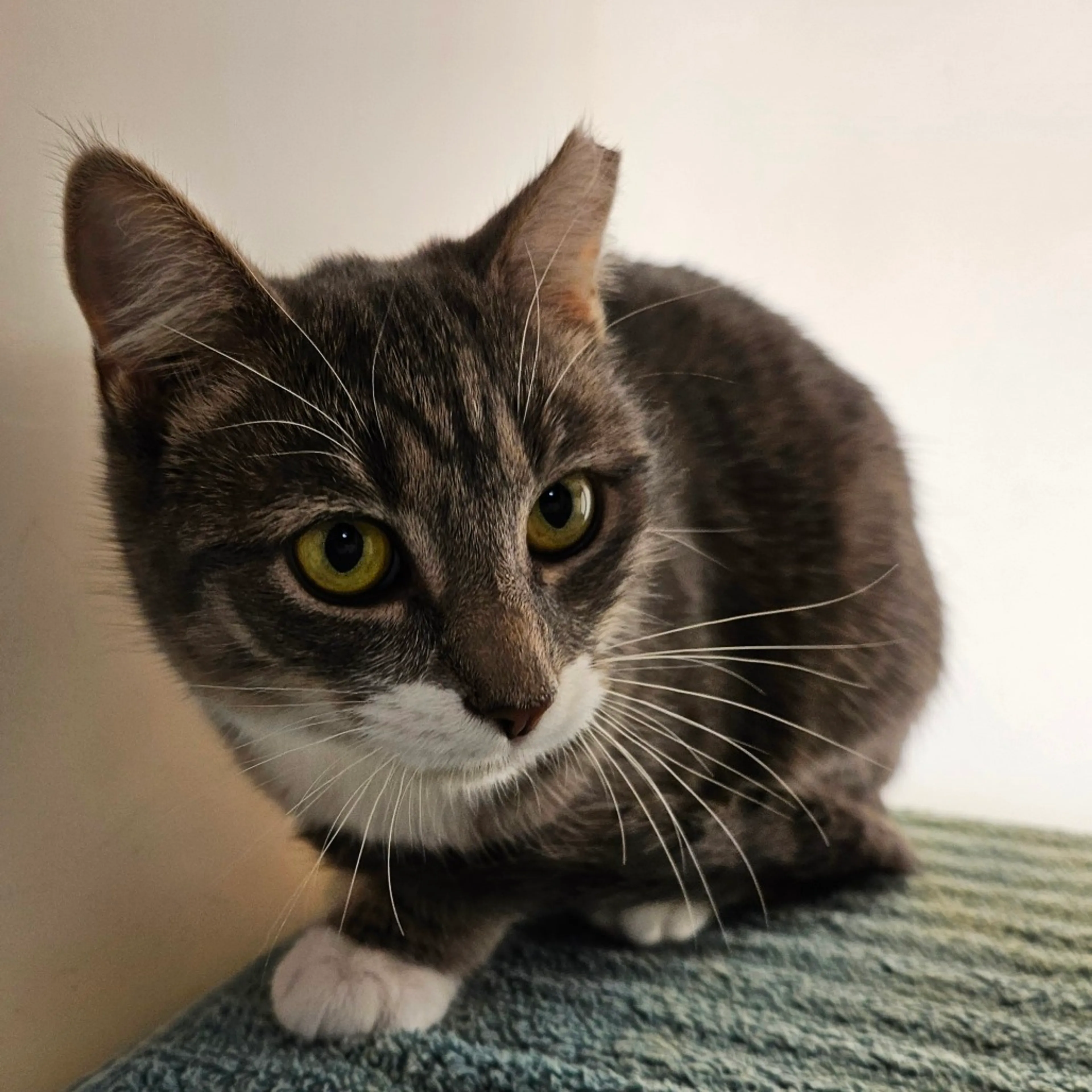 -1