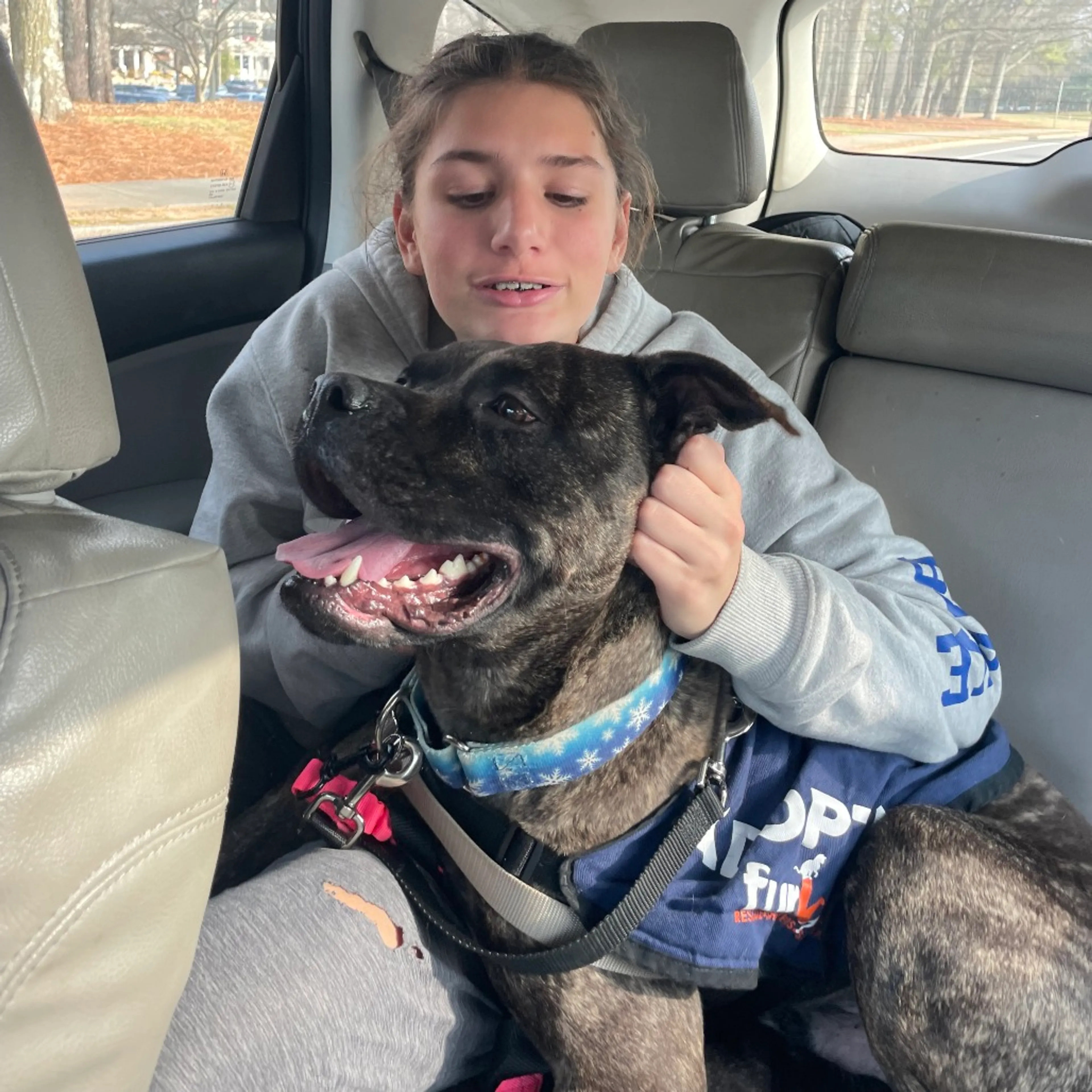 Found pet-5