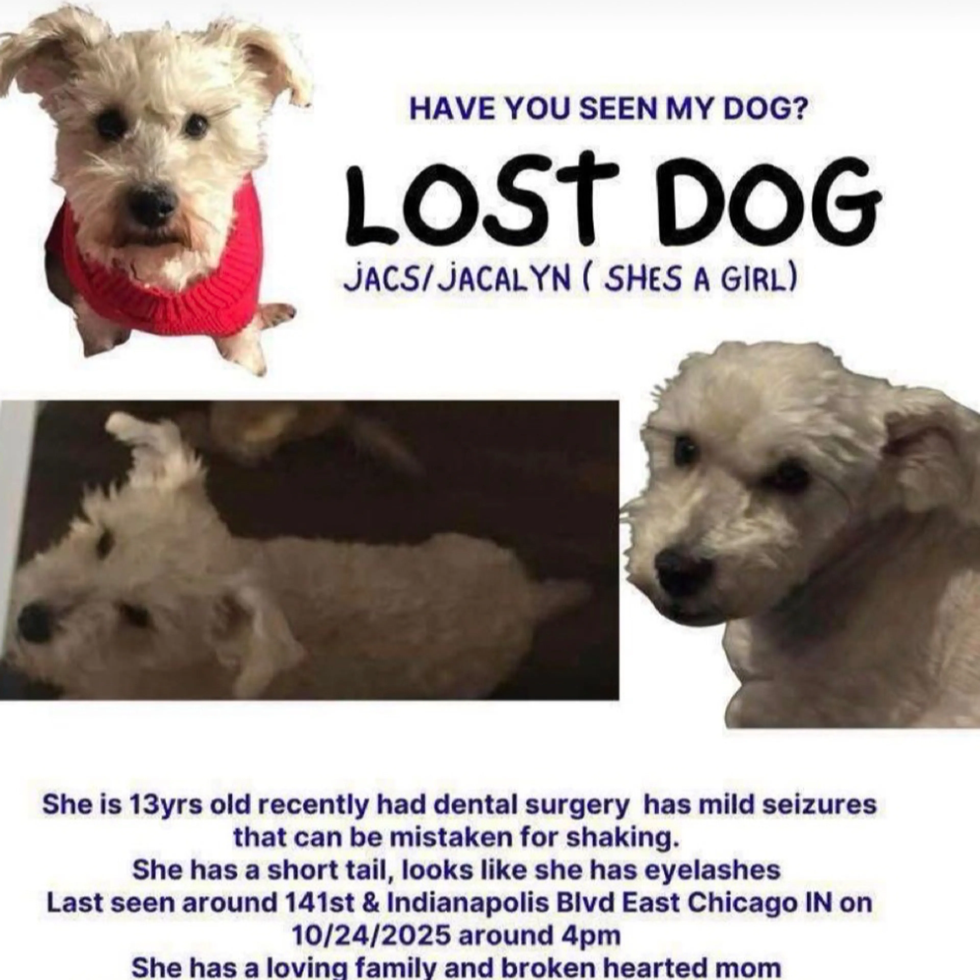 cdn image