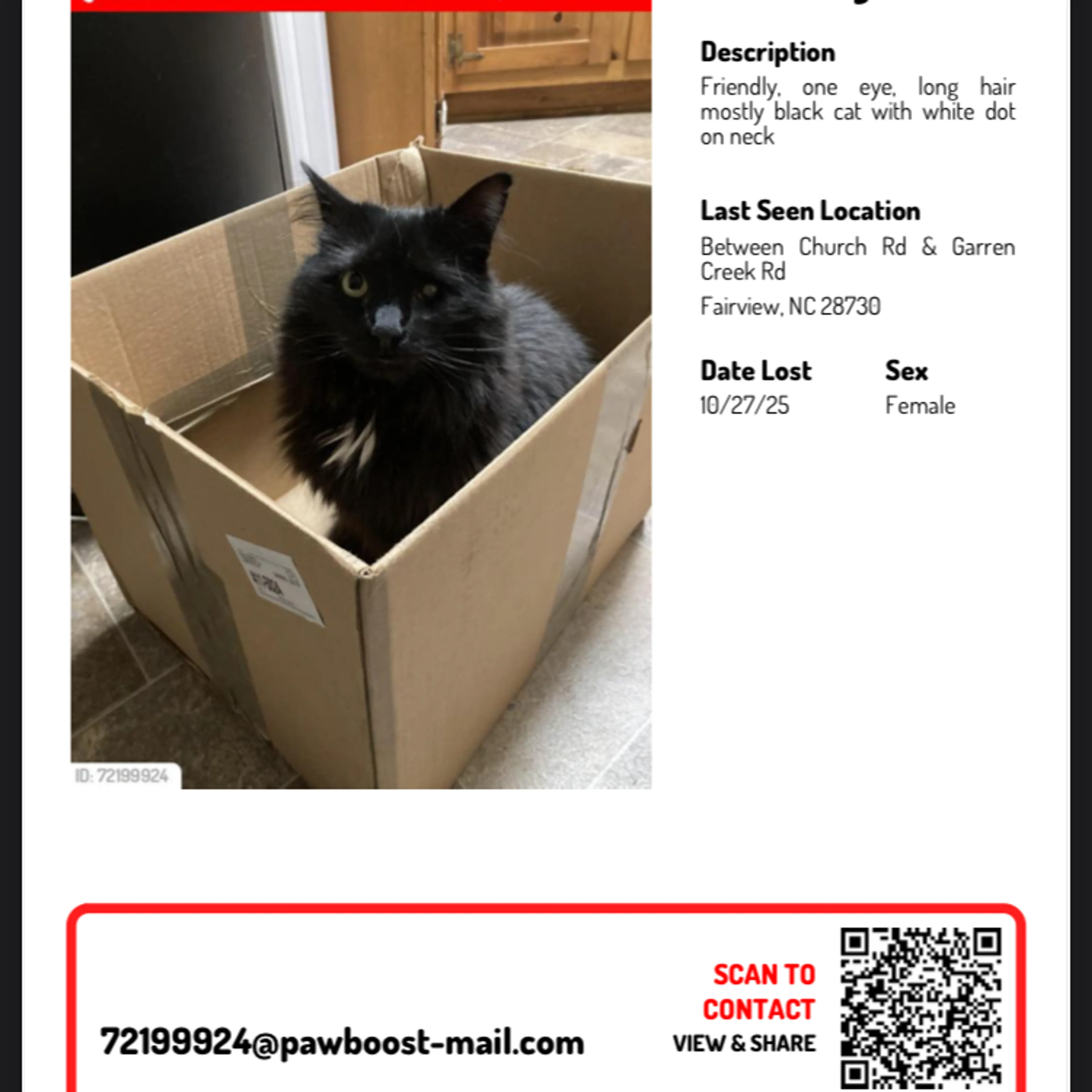 cdn image