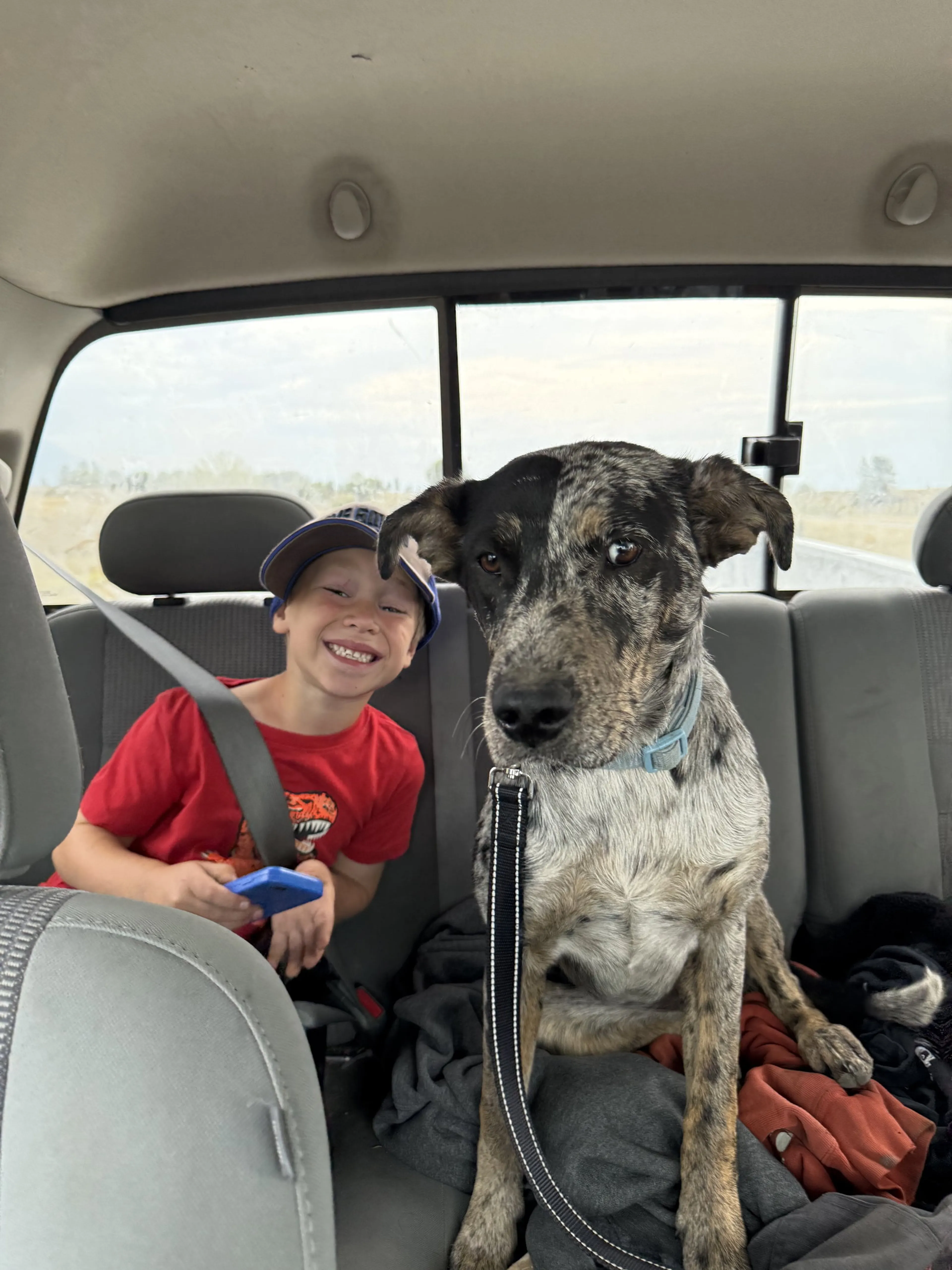 Found pet-2