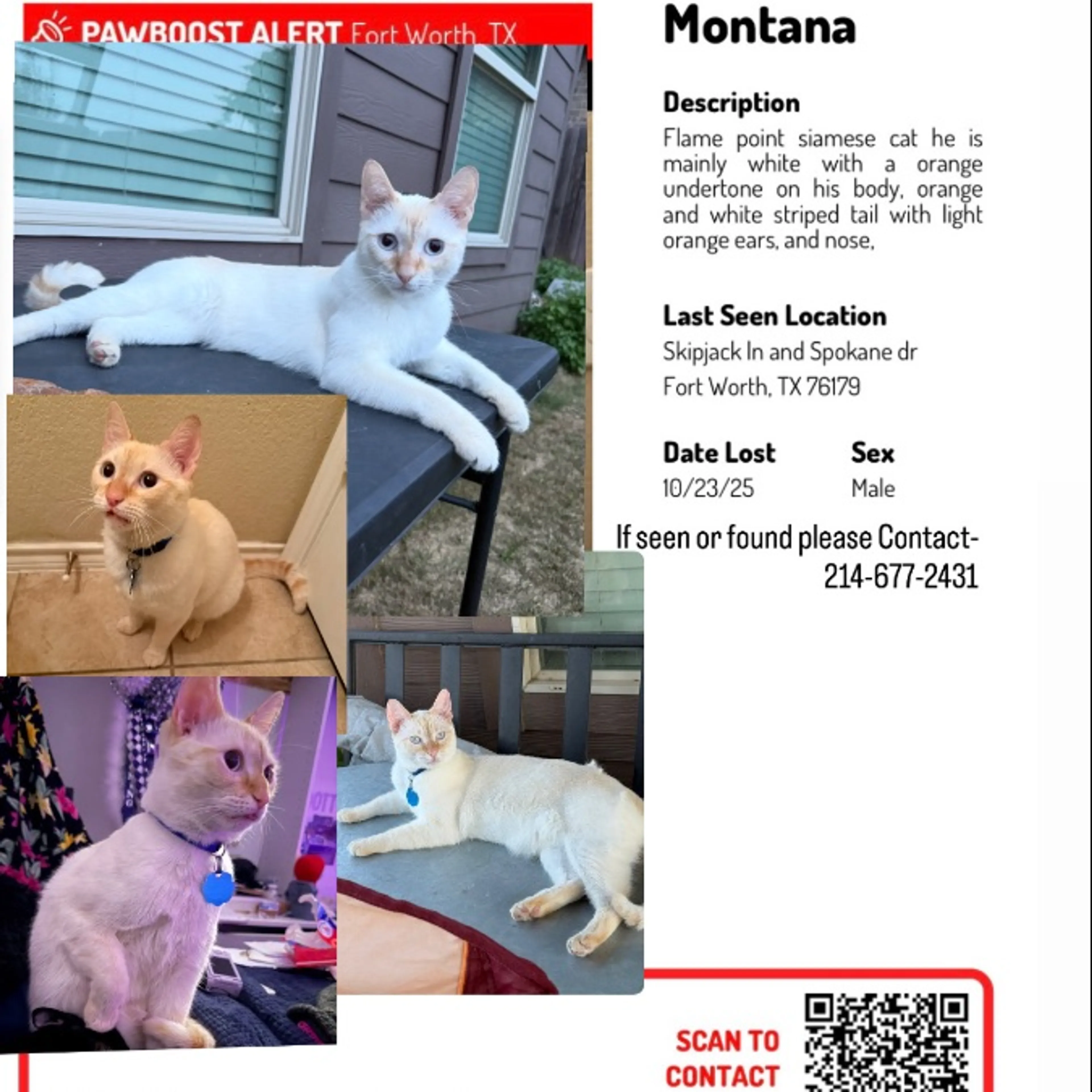 cdn image
