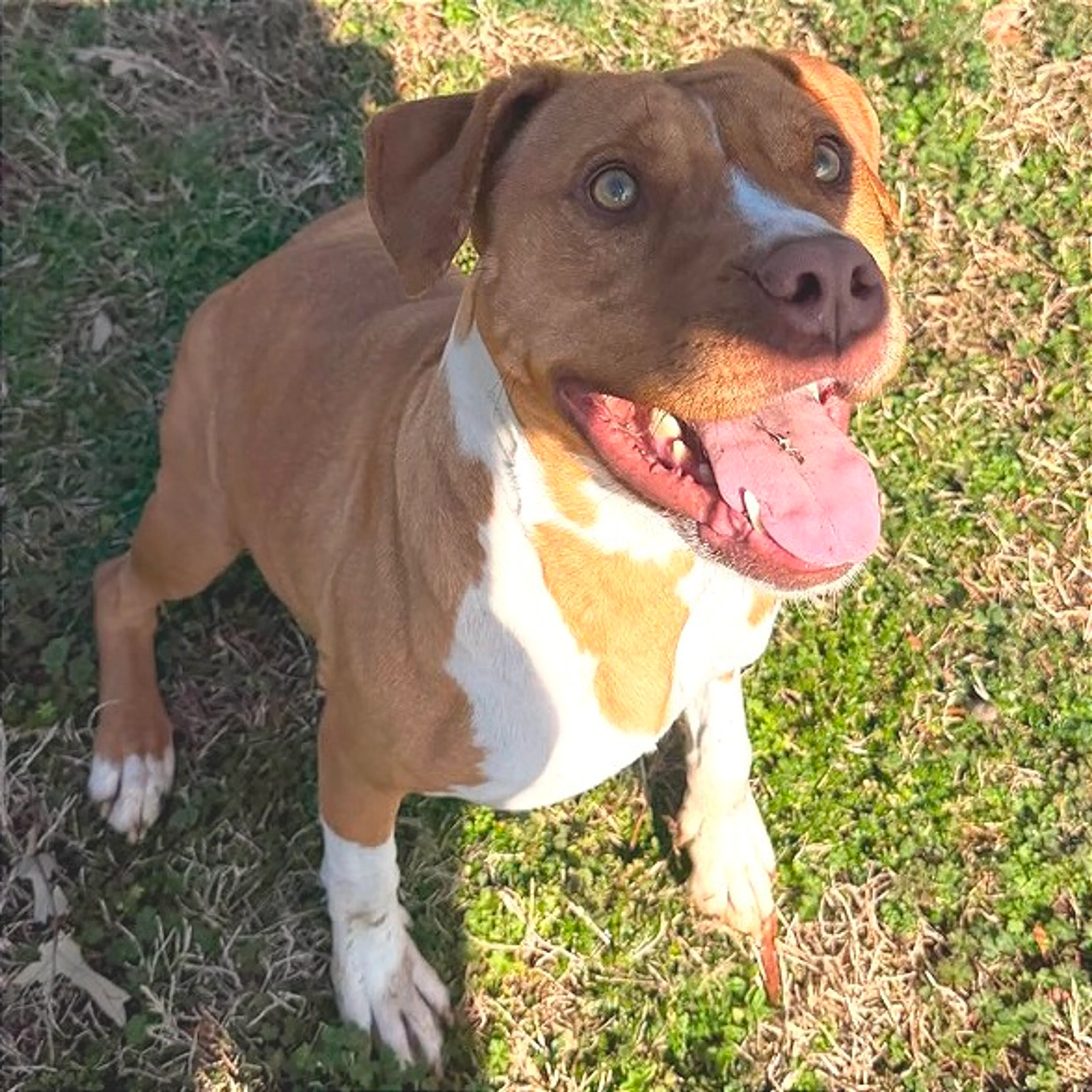 -9