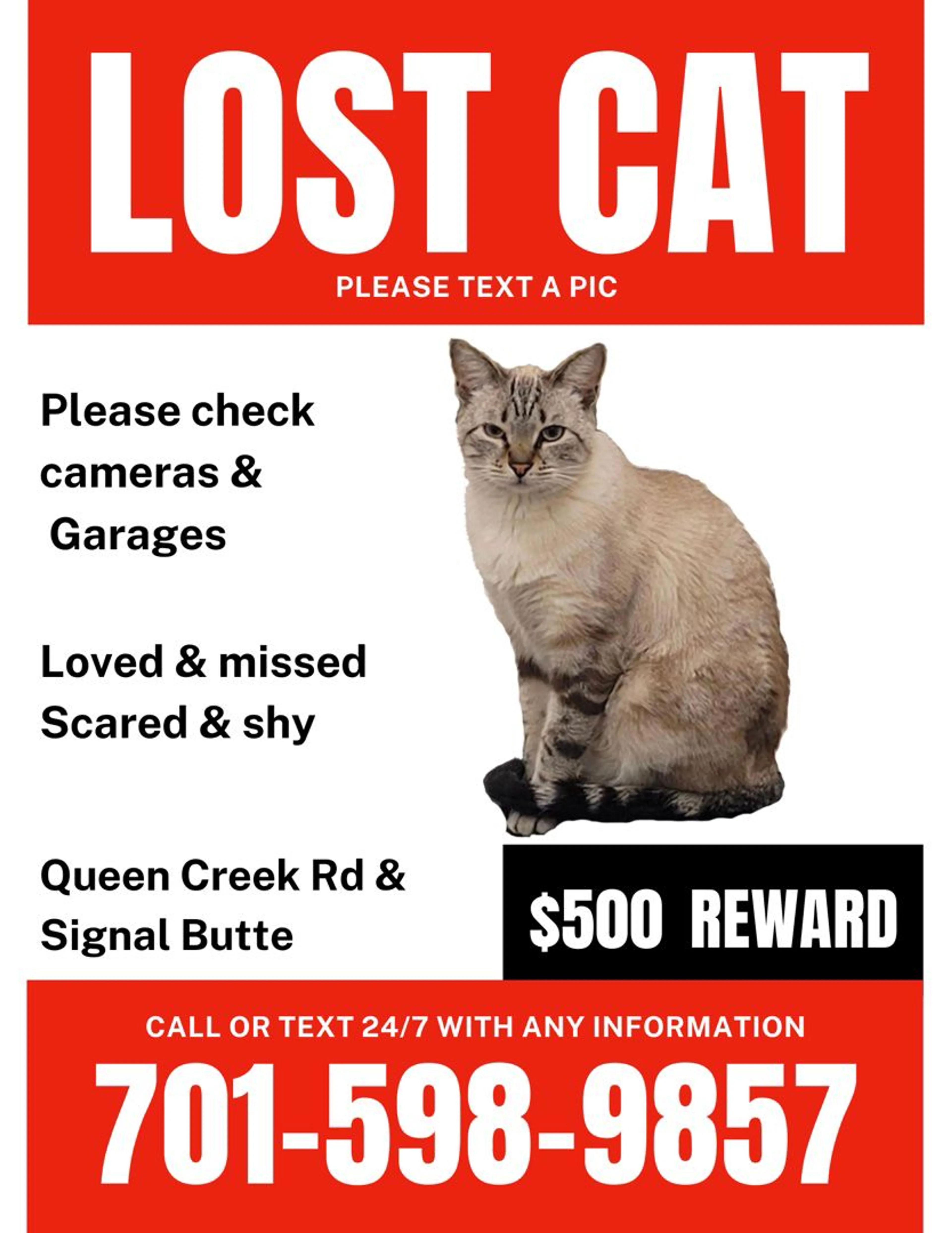 Lost pet