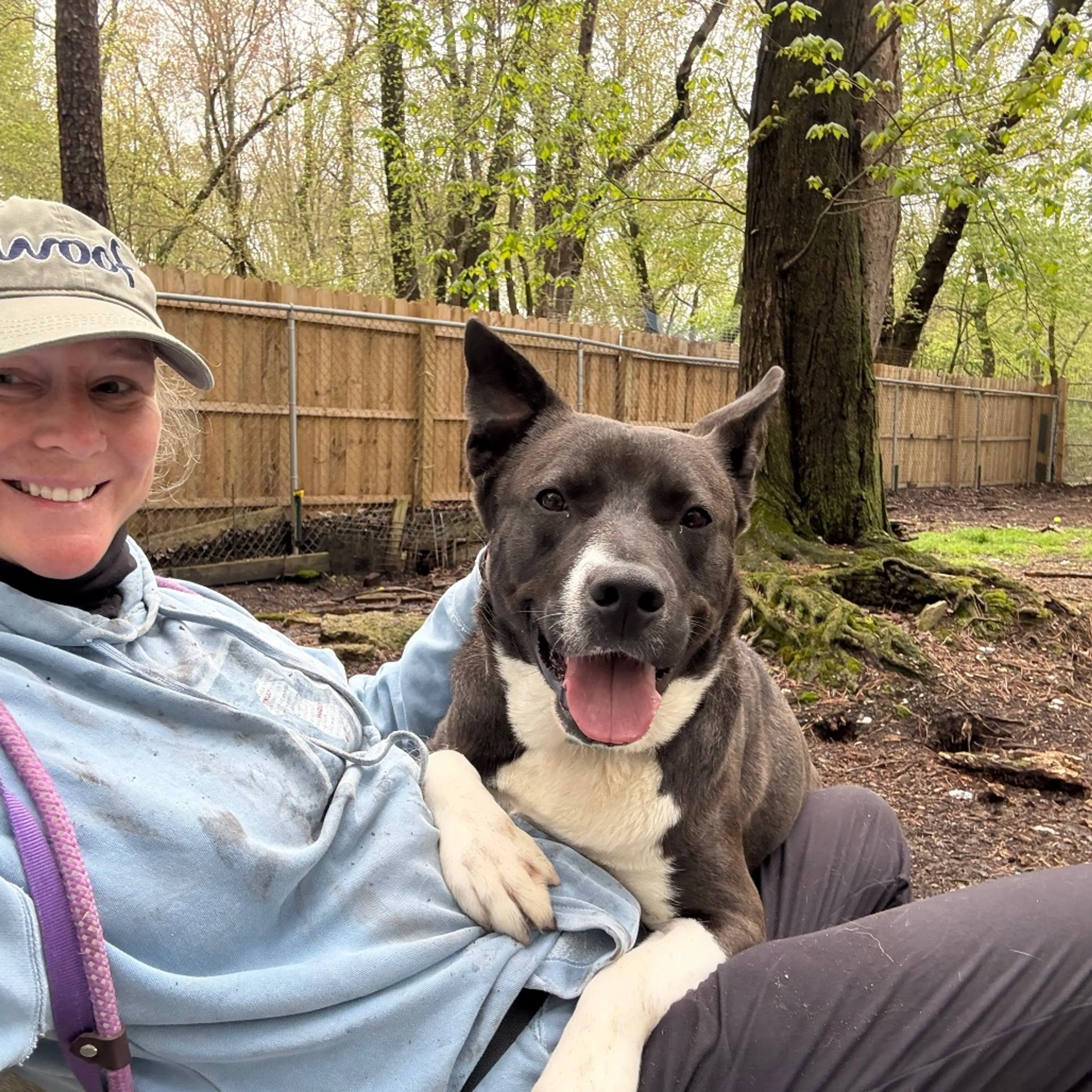 Found pet-24