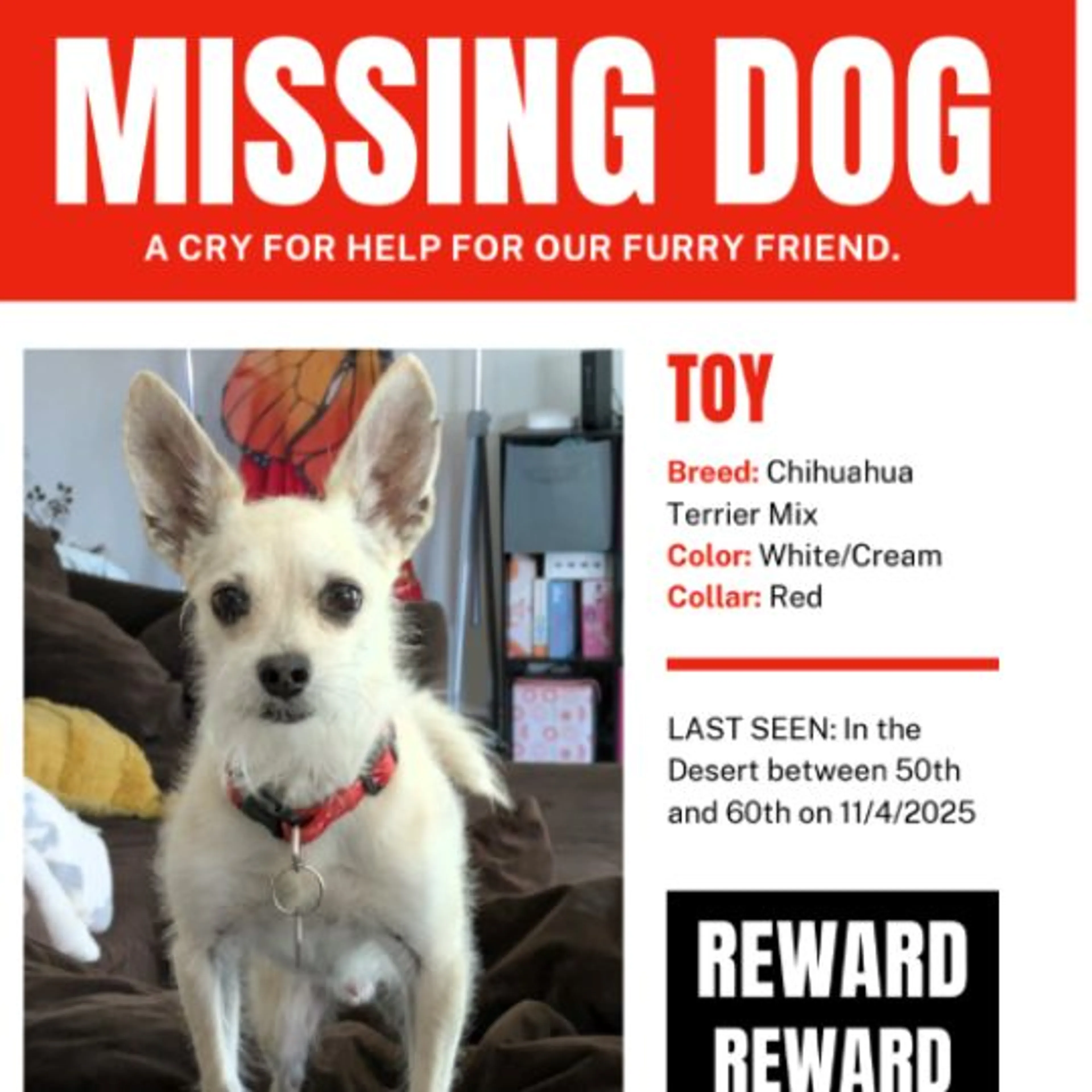 Lost pet