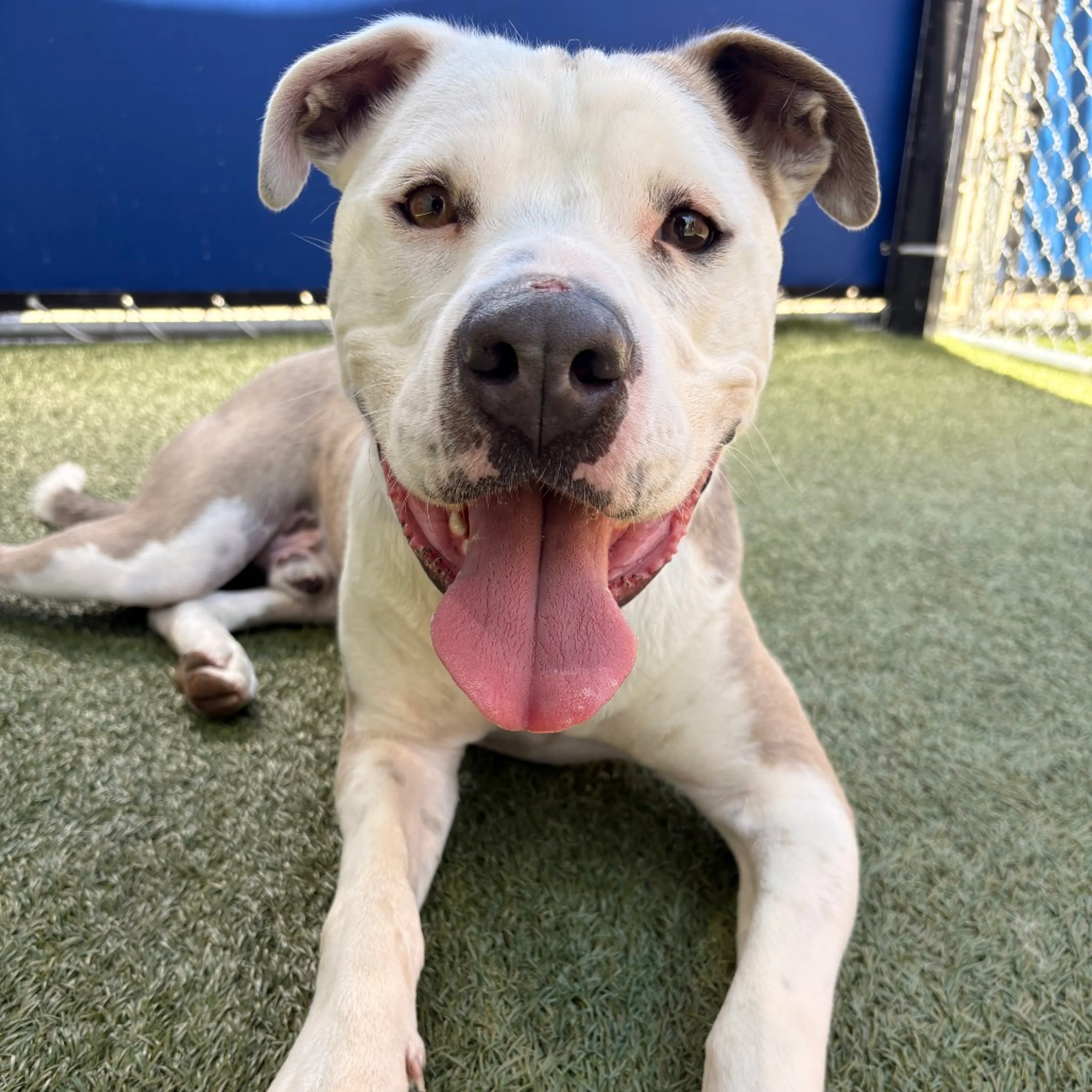 -1