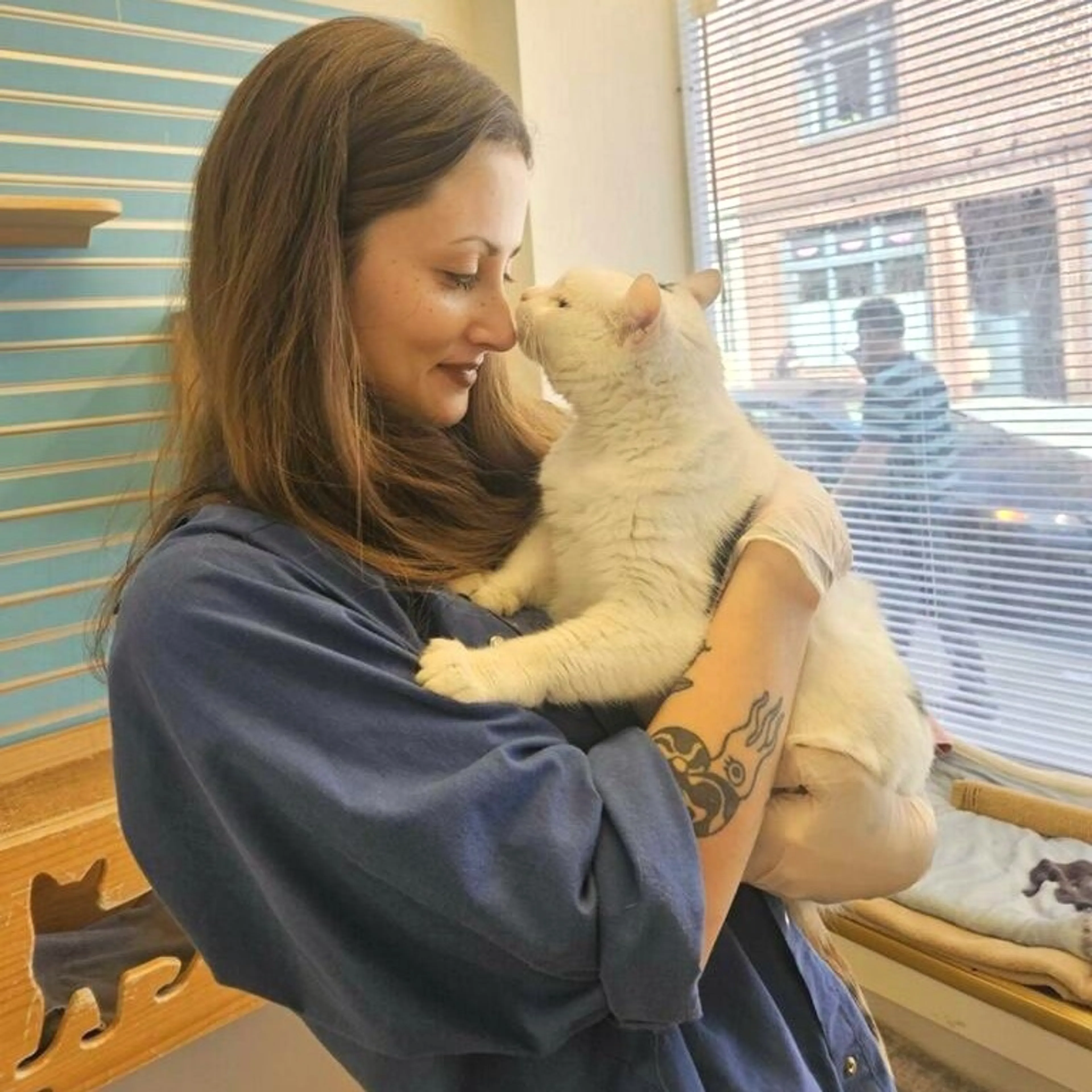Found pet-3