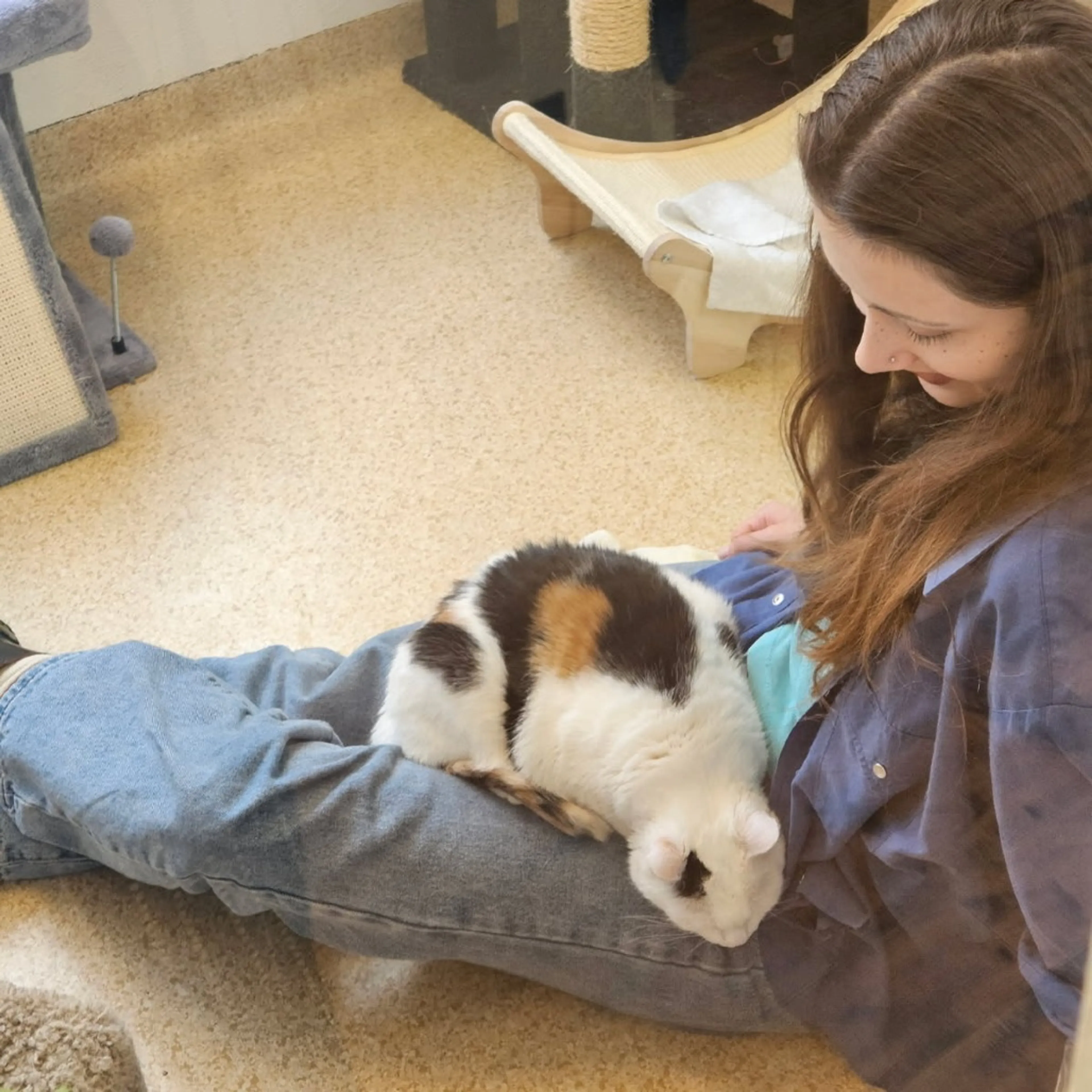 Found pet-4