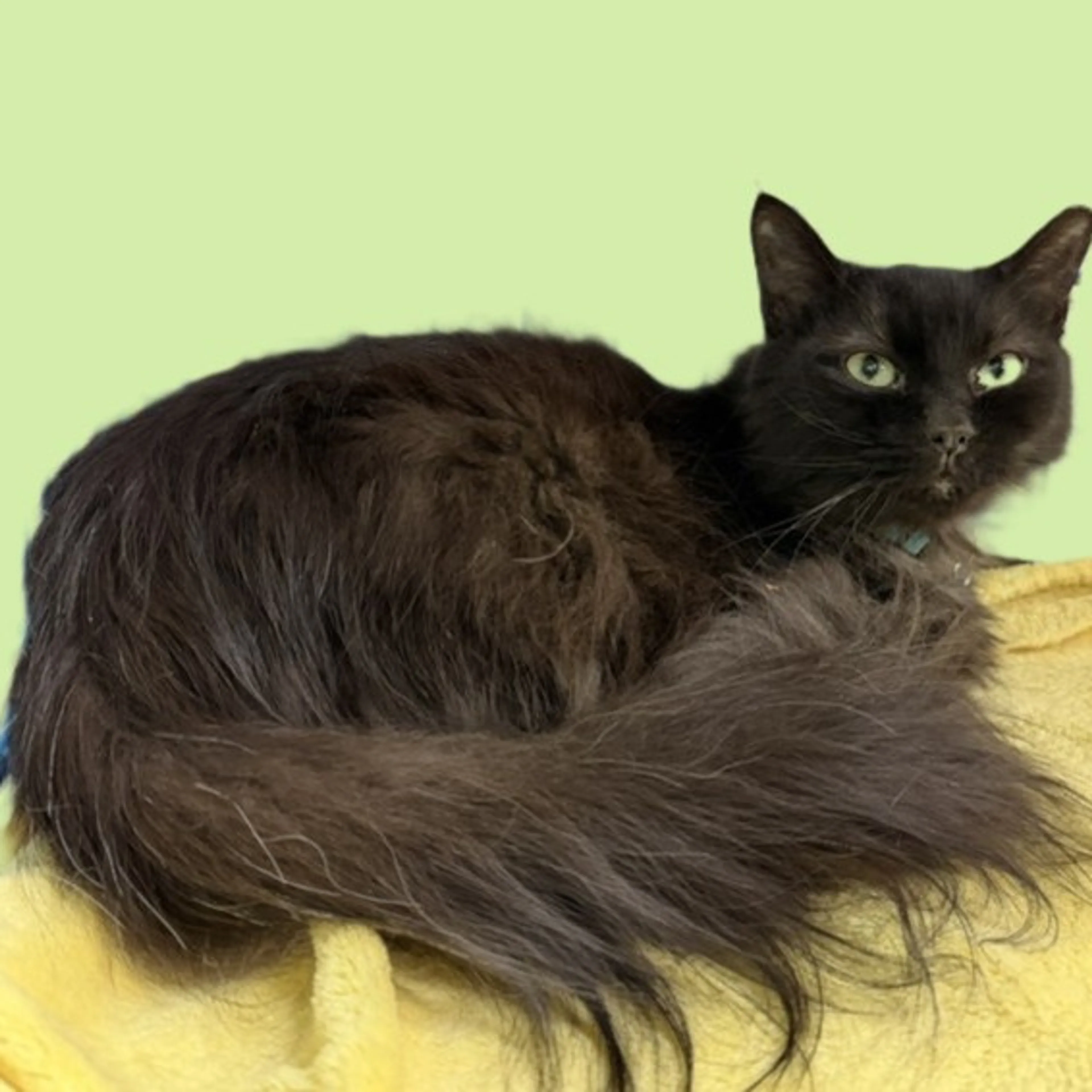 -7