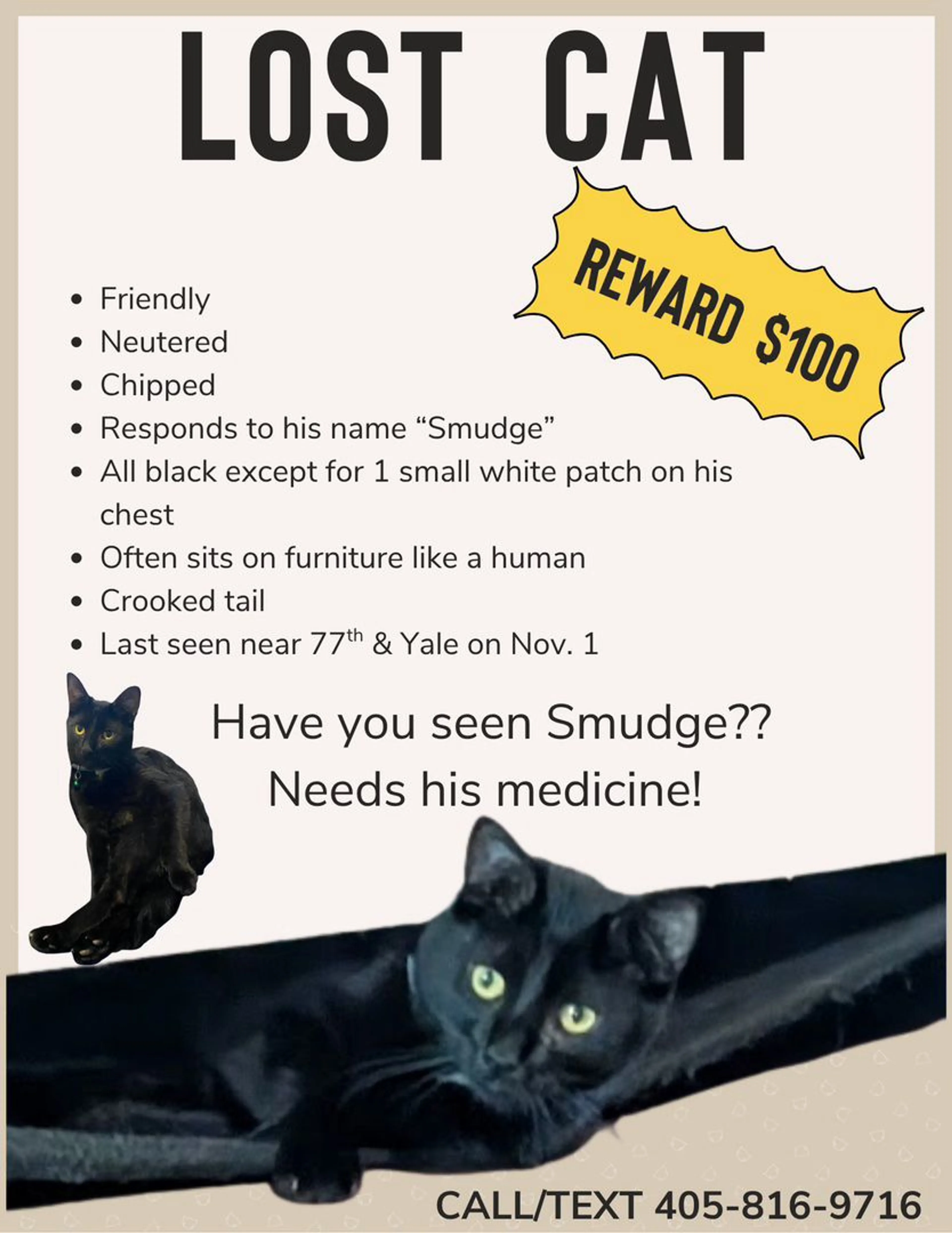 Lost pet-0