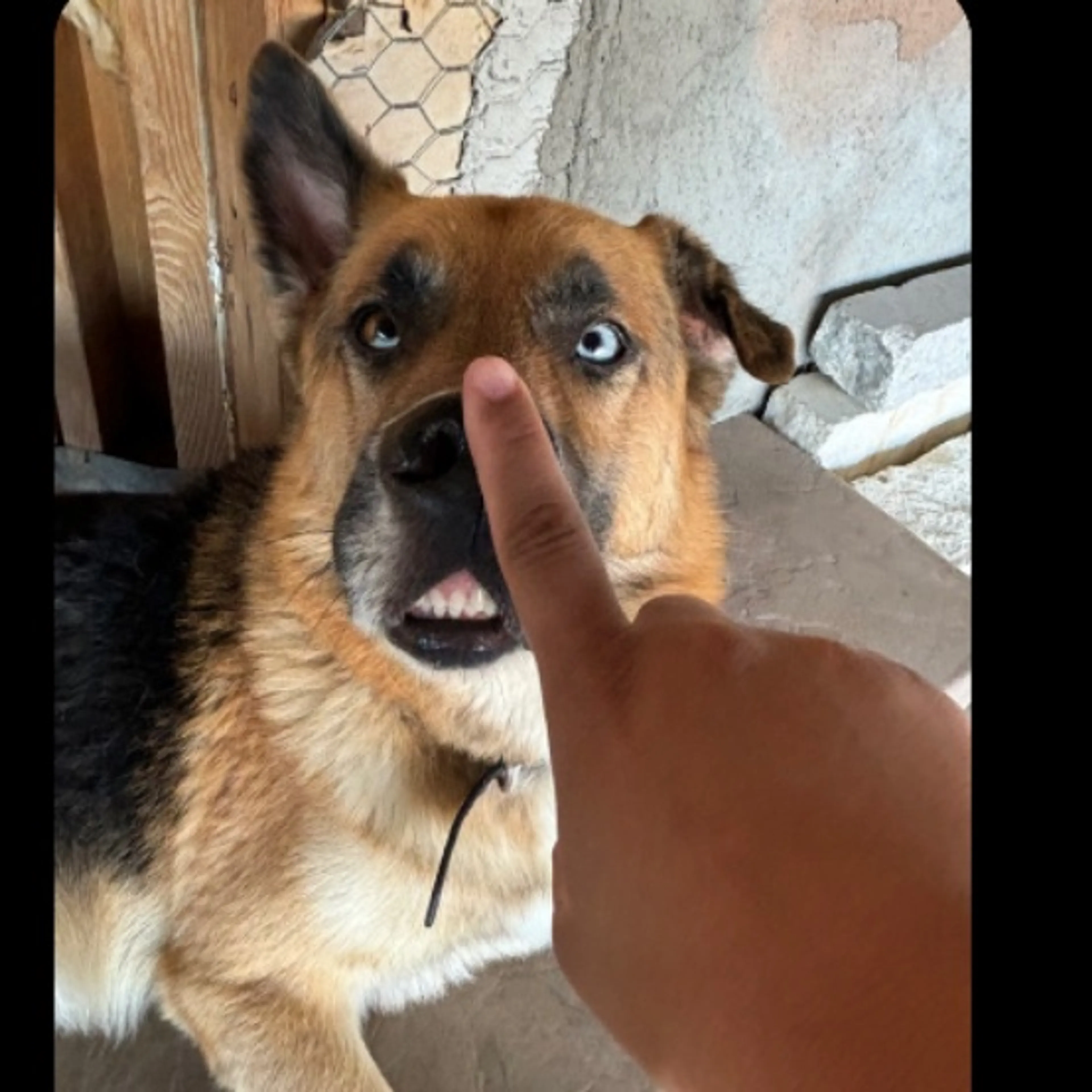 -0