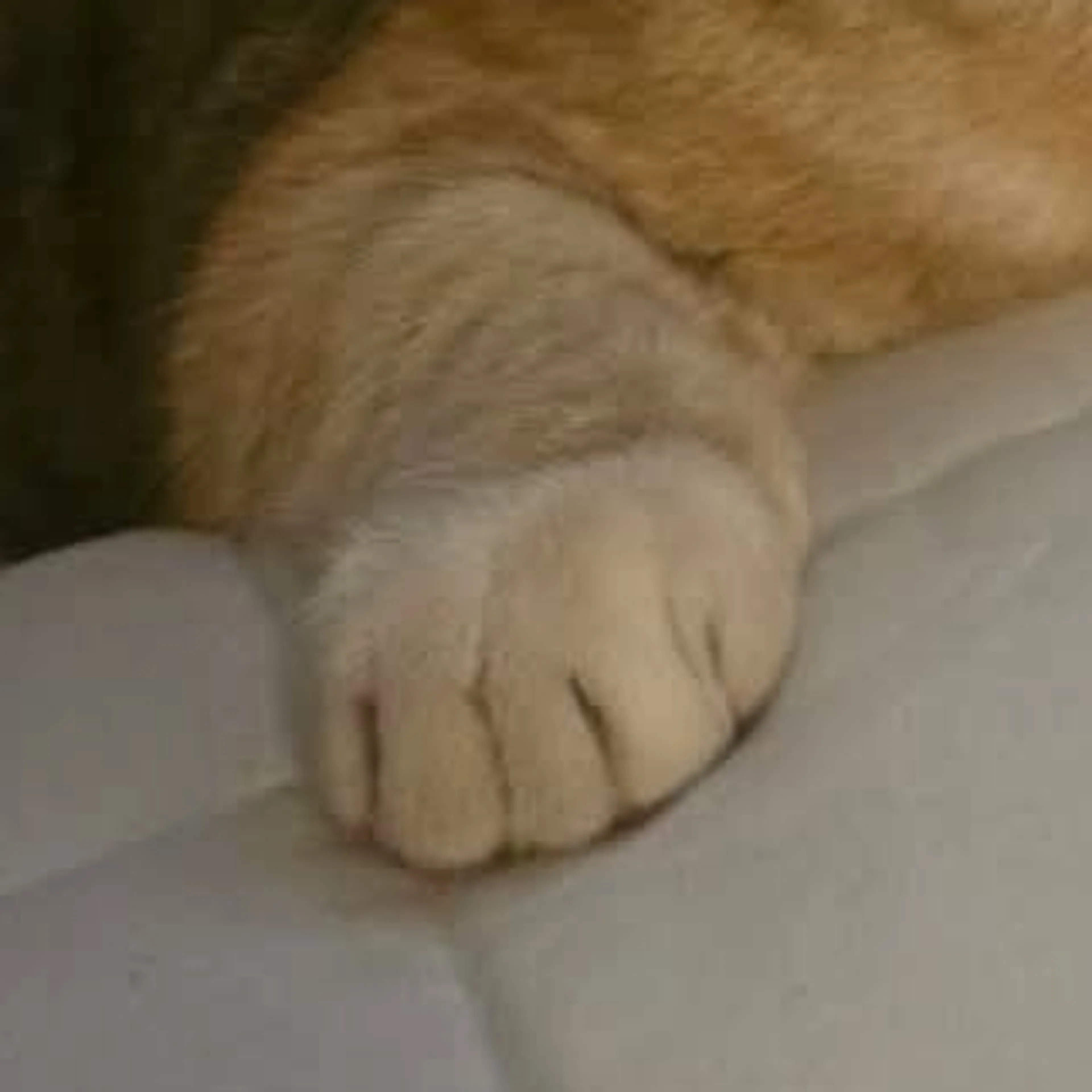 -3