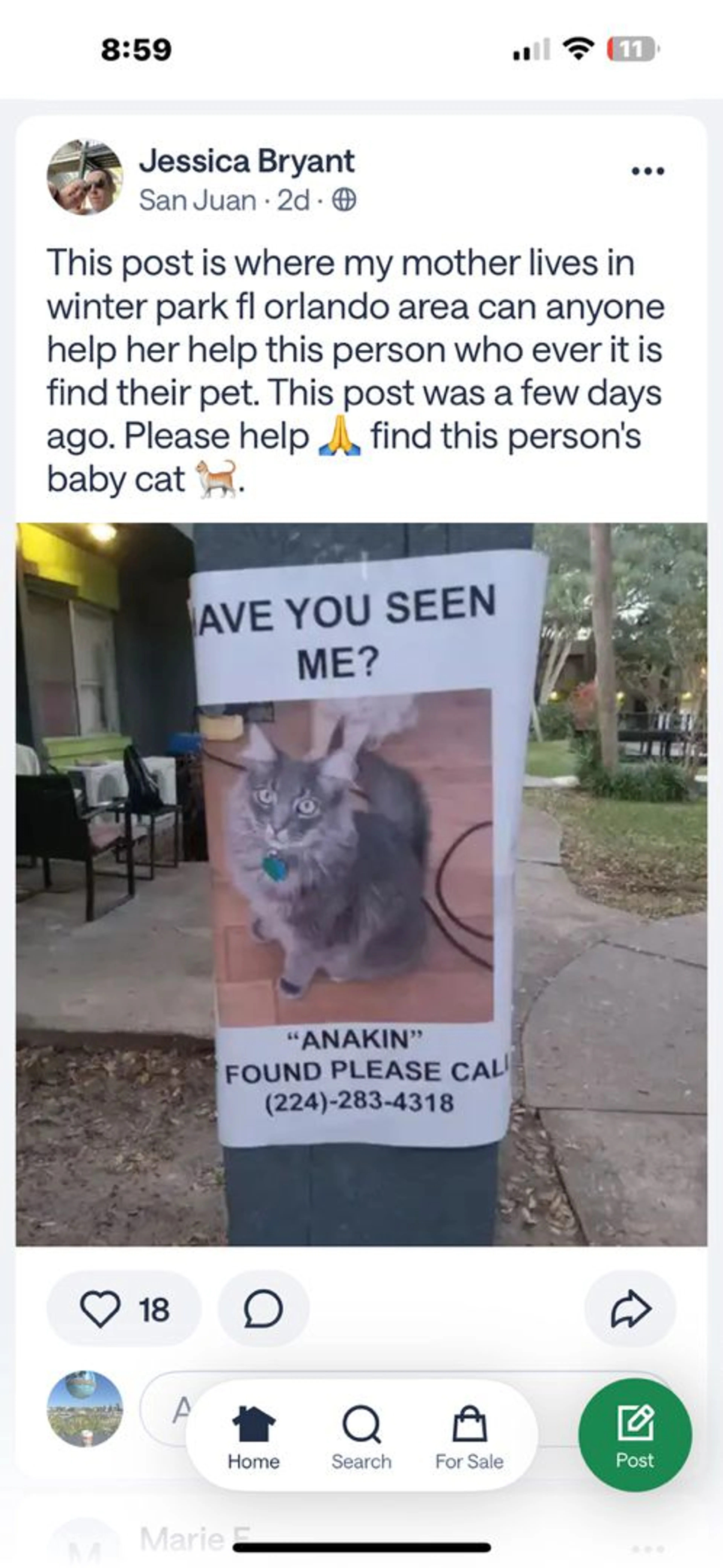 Lost pet